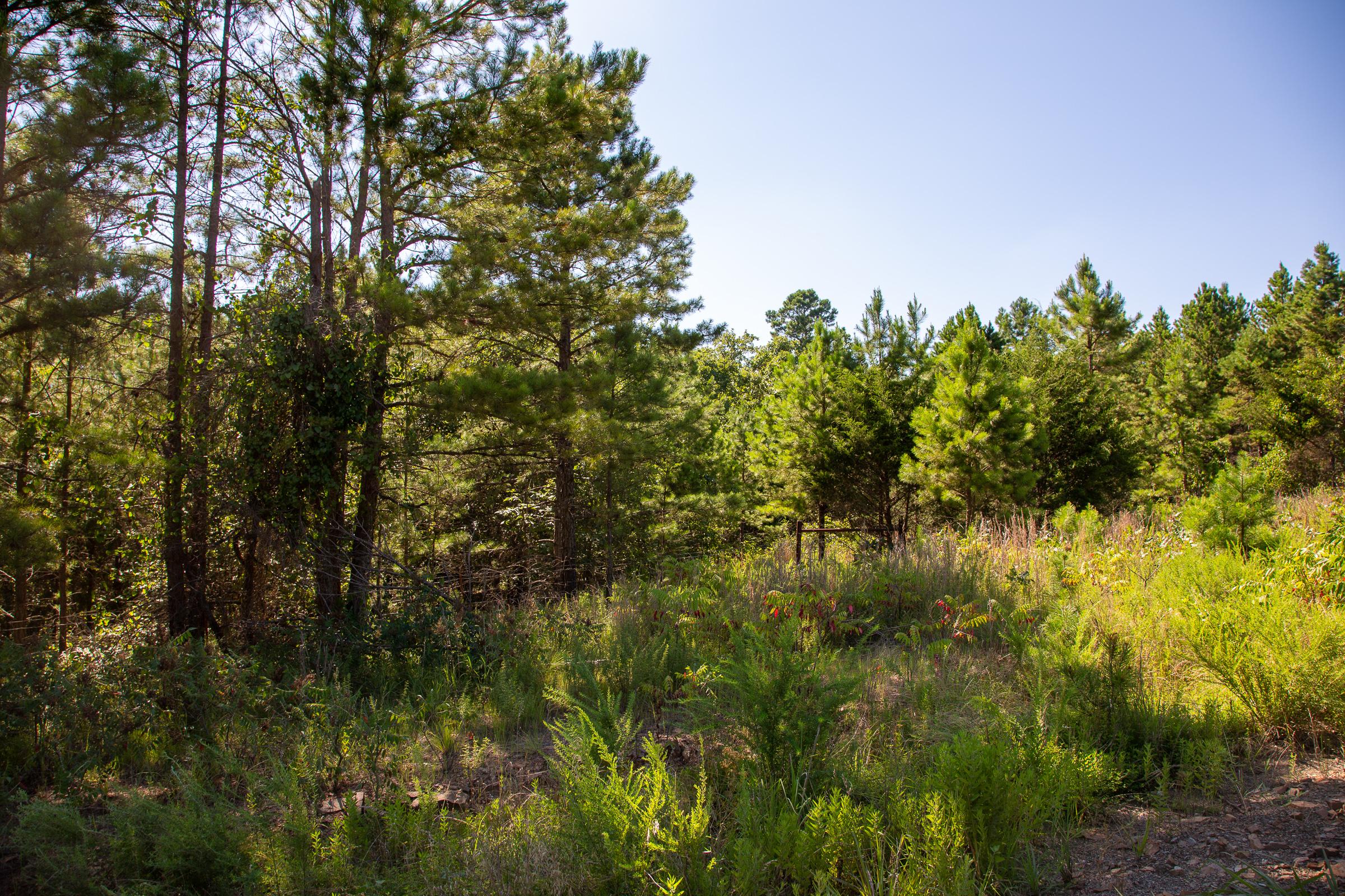 Tract 10 at Tyler Stone Ranch in Leflore County, Oklahoma