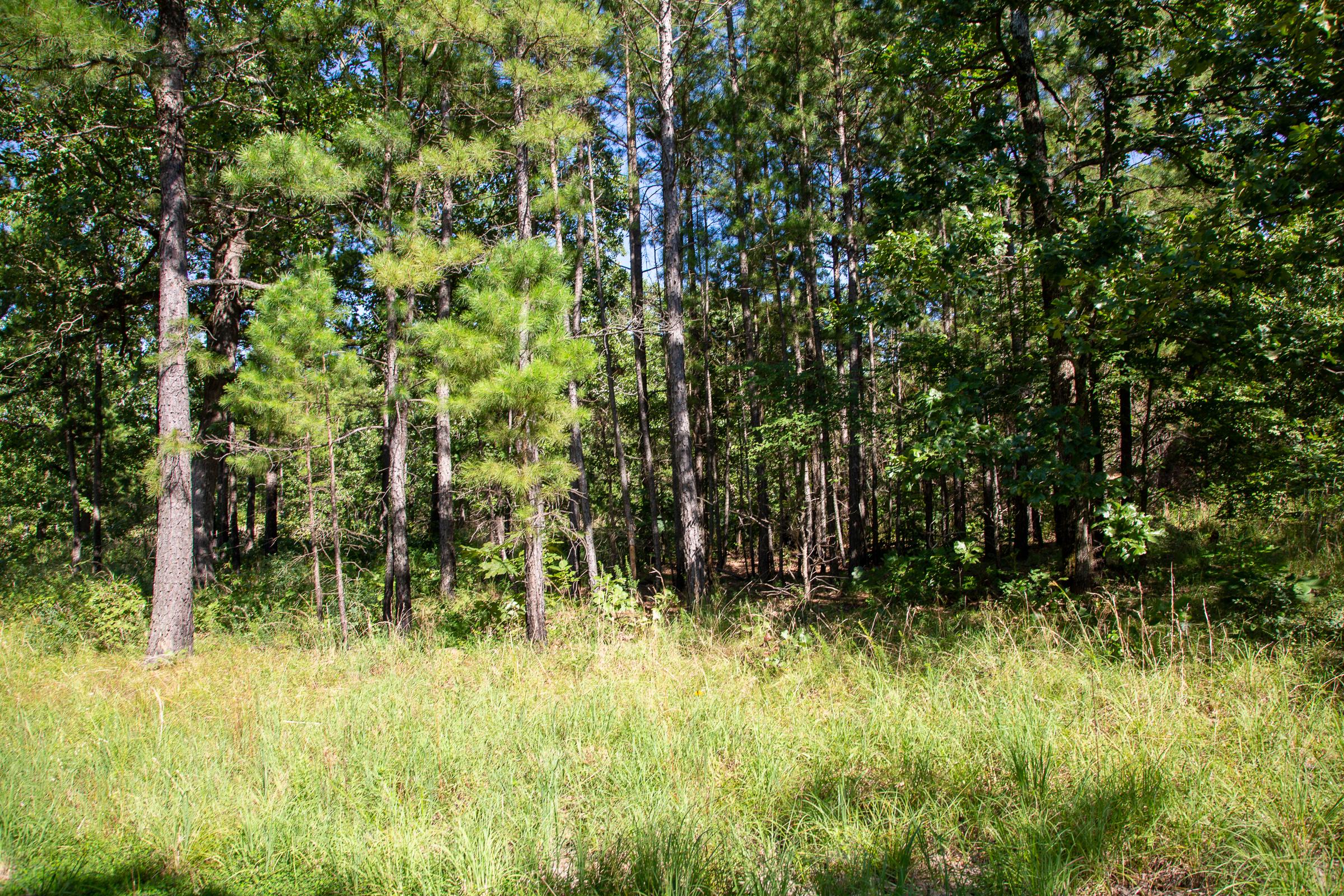 Tract 11 at Tyler Stone Ranch in Leflore County, Oklahoma