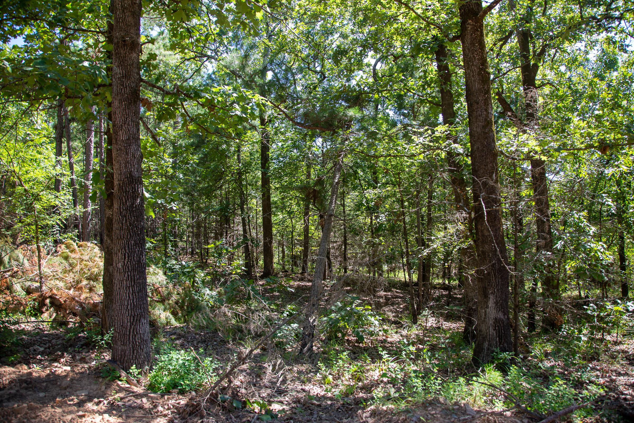 Tract 13 at Tyler Stone Ranch in Leflore County, Oklahoma