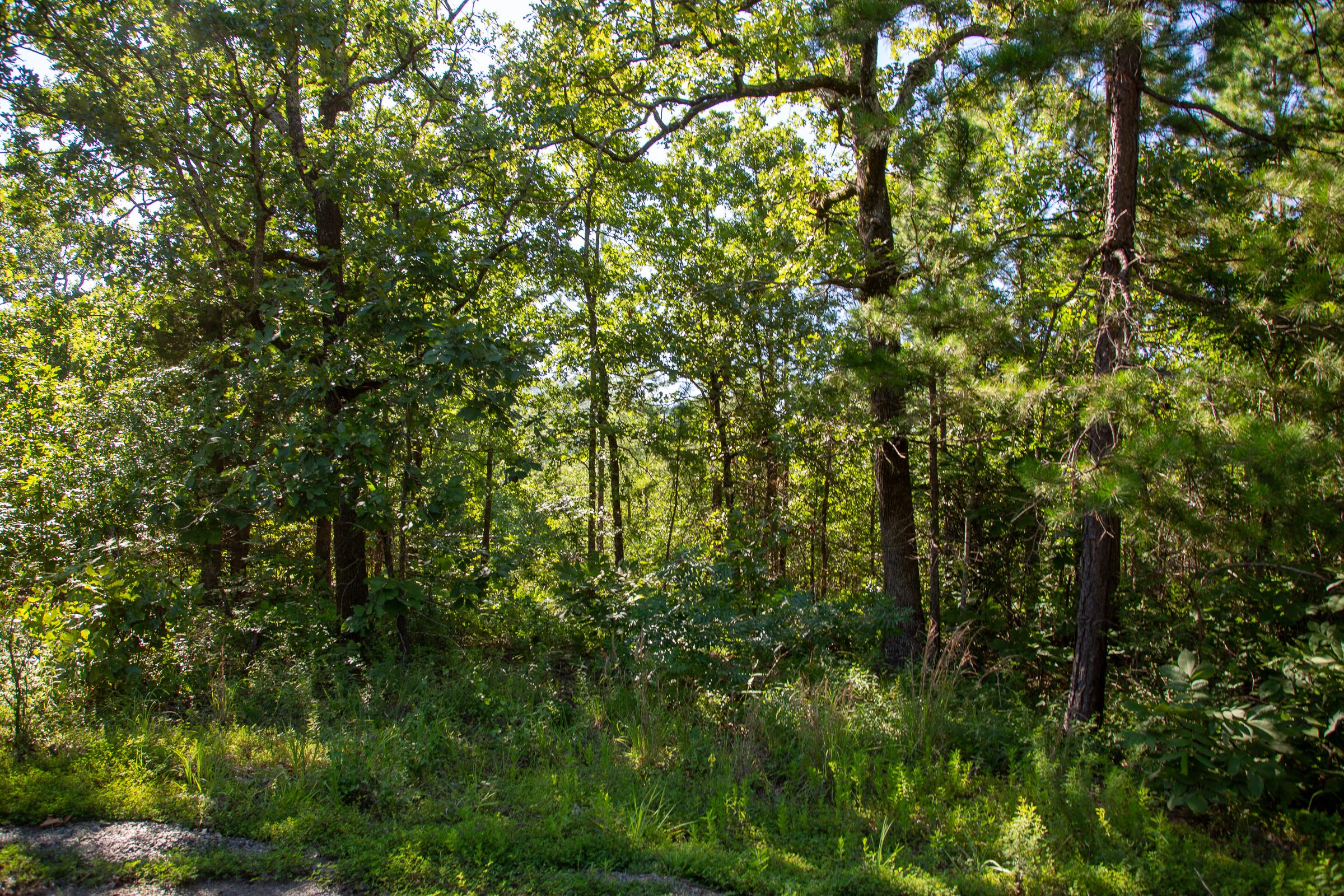 Tract 16 at Tyler Stone Ranch in Leflore County, Oklahoma