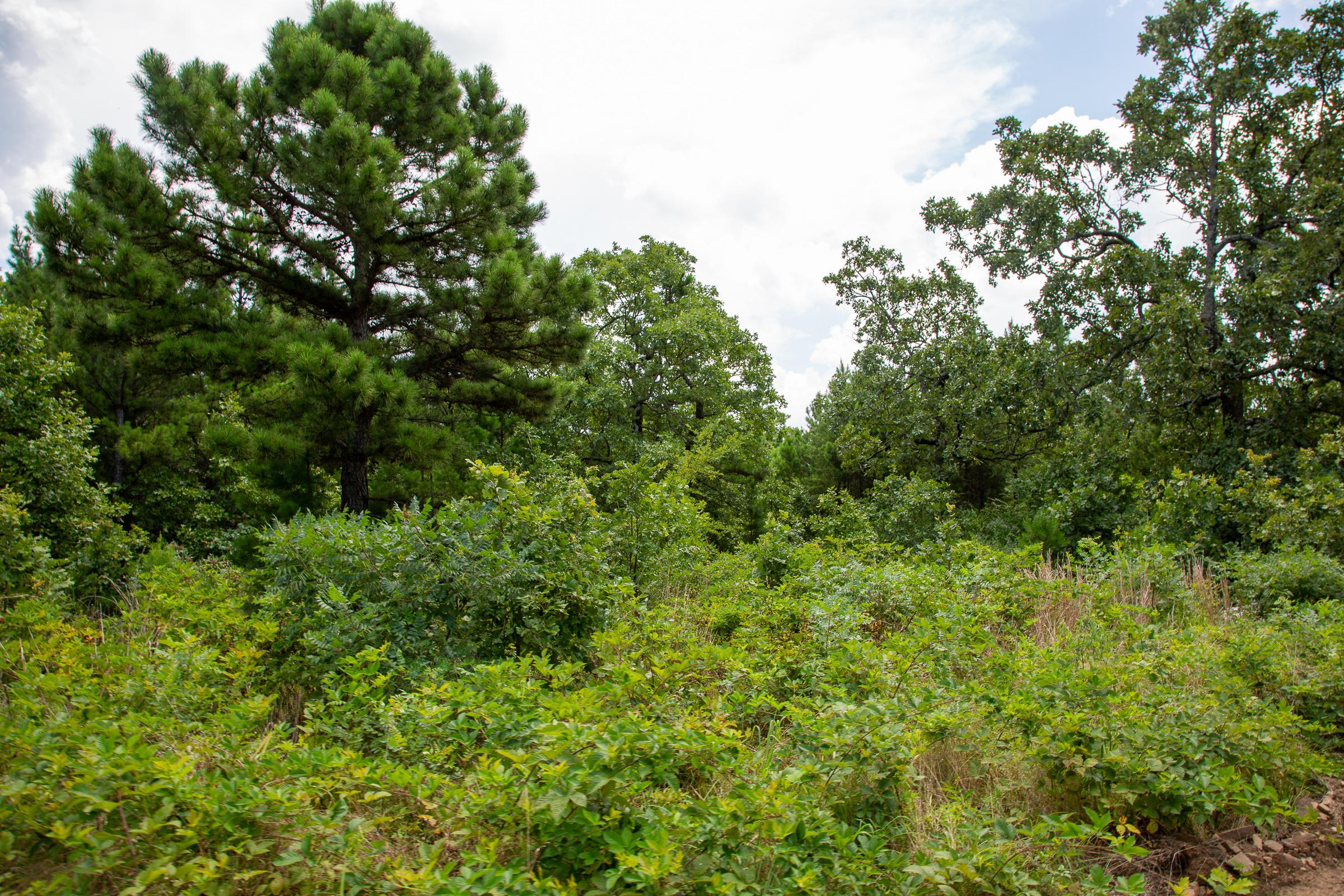 Tract 18 at Tyler Stone Ranch in Leflore County, Oklahoma