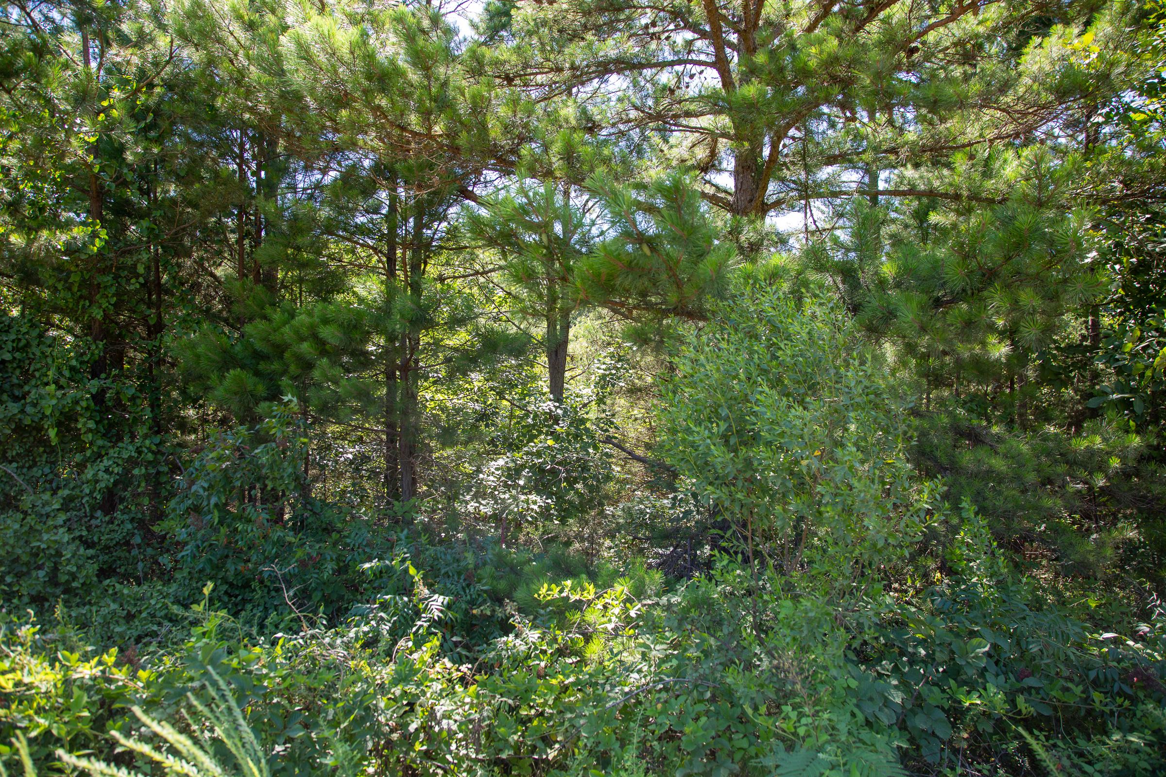Tract 2 at Tyler Stone Ranch in Leflore County, Oklahoma