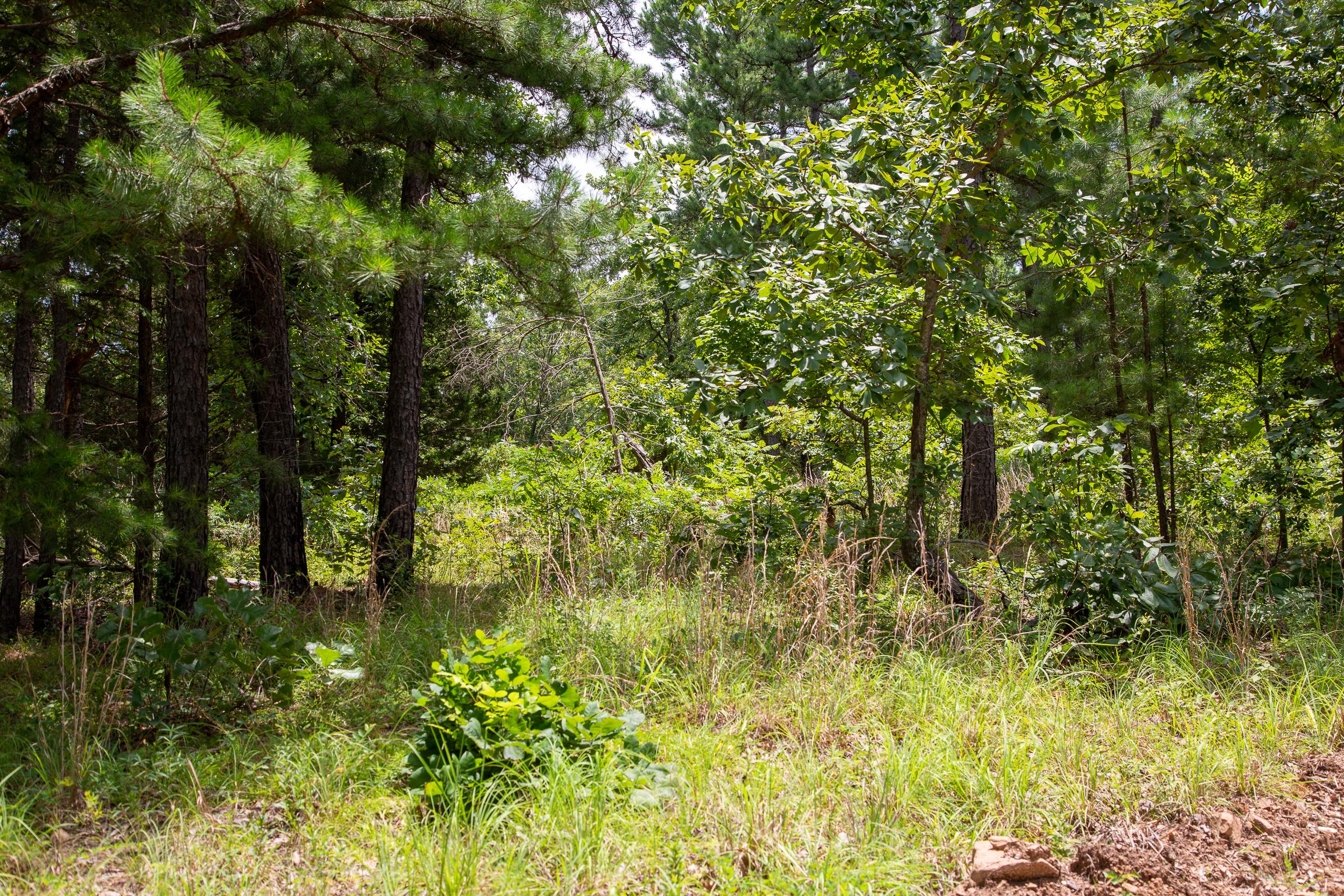 Tract 21 at Tyler Stone Ranch in Leflore County, Oklahoma
