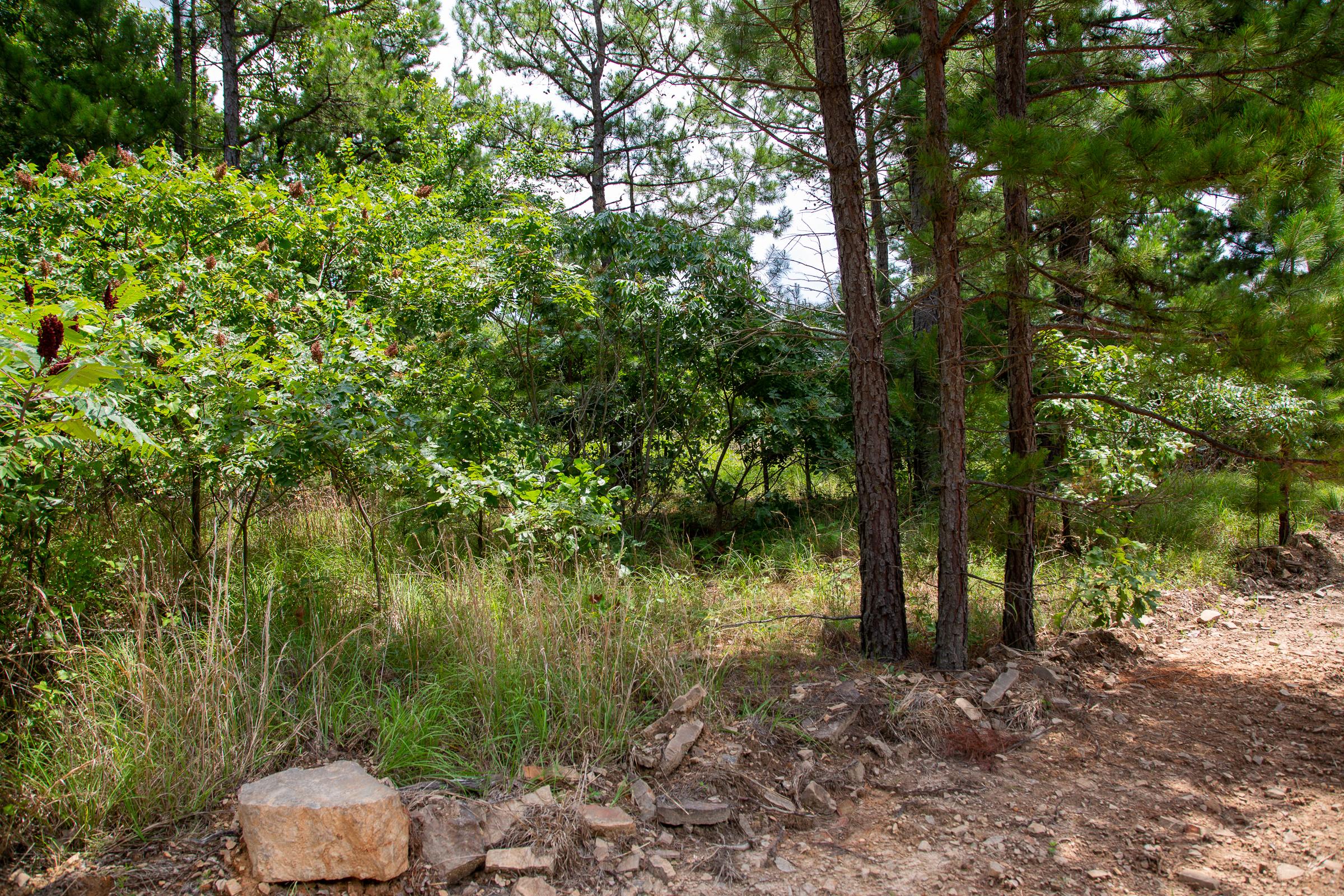 Tract 22 at Tyler Stone Ranch in Leflore County, Oklahoma