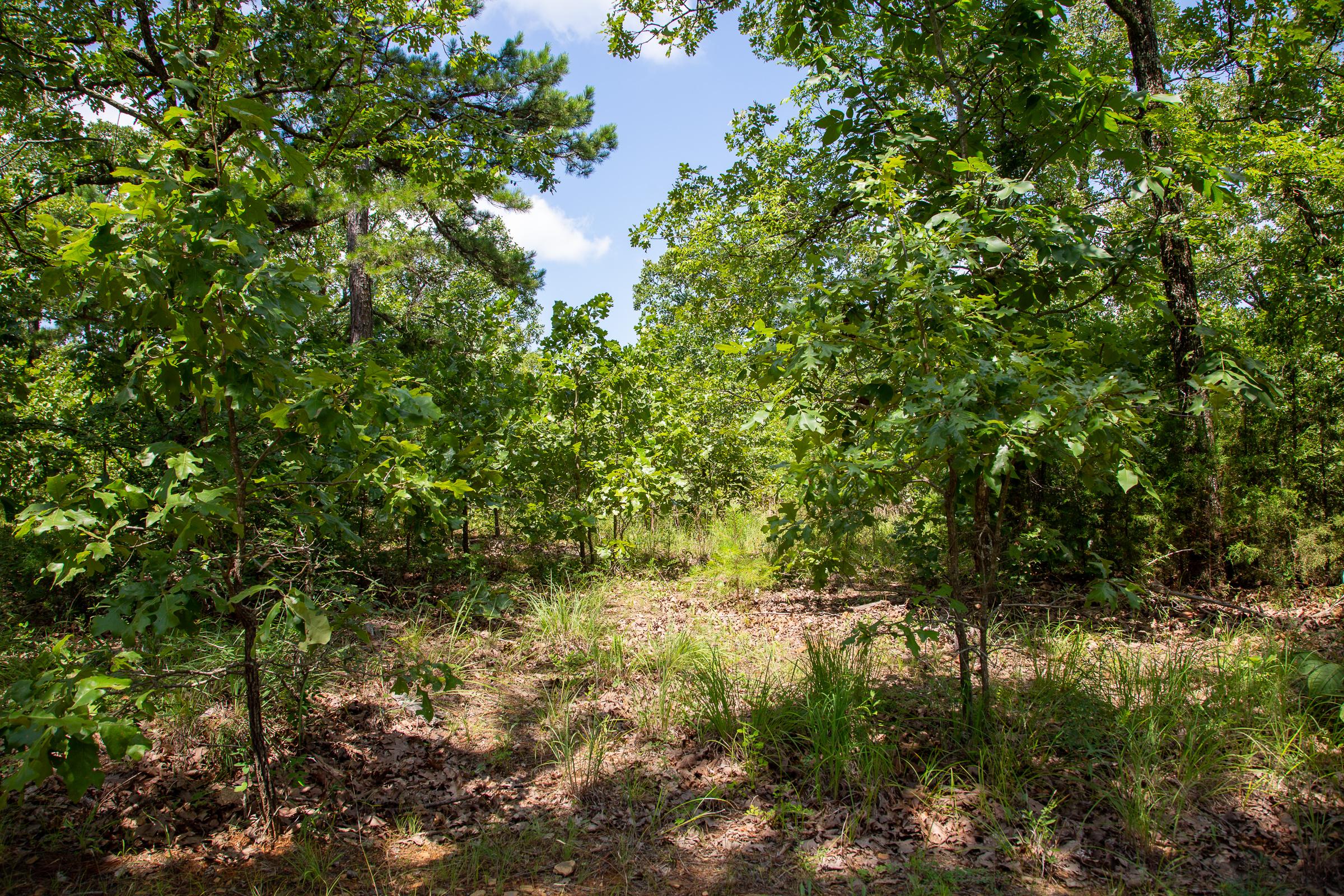 Tract 29 at Tyler Stone Ranch in Leflore County, Oklahoma