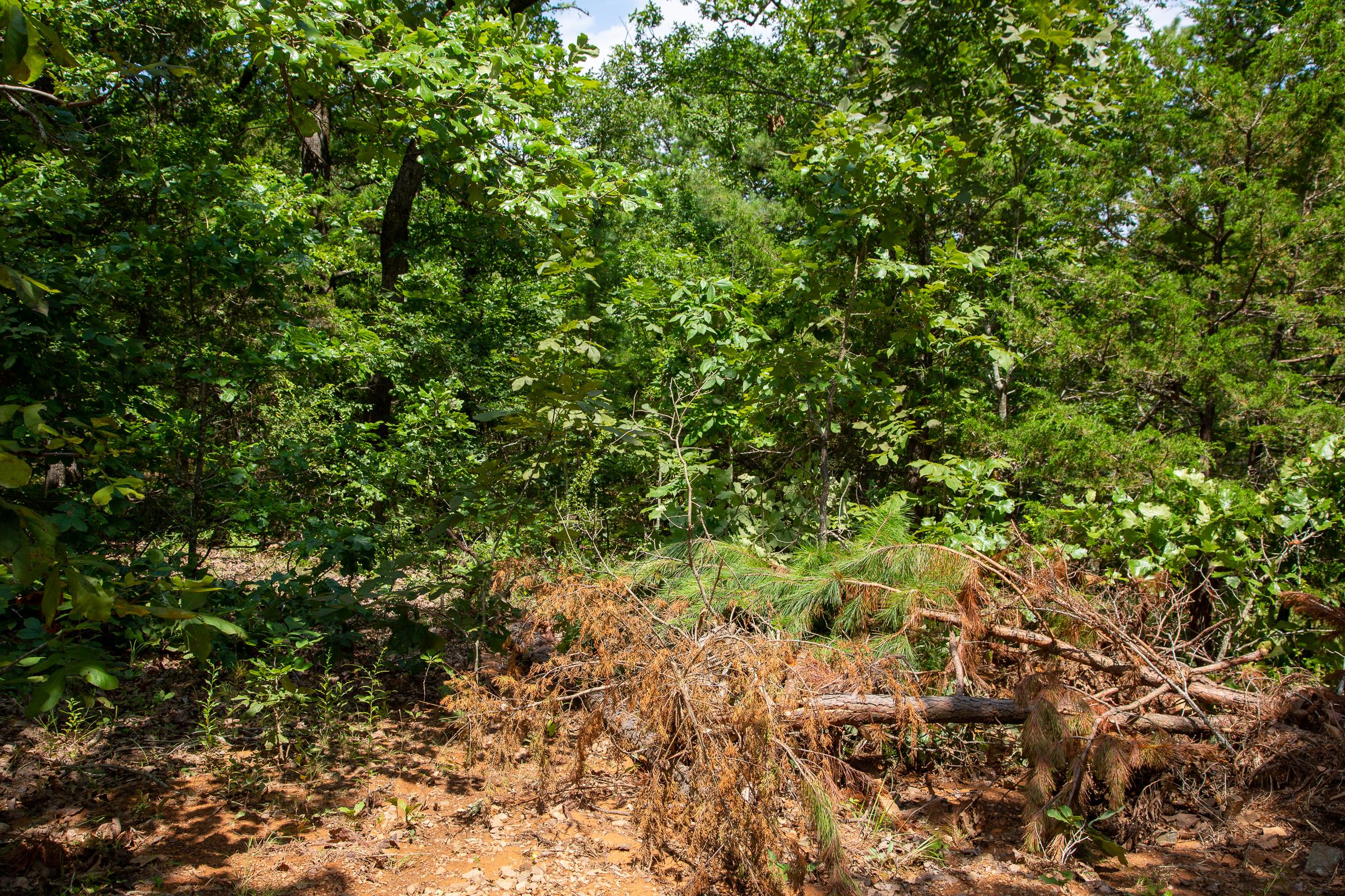 Tract 30 at Tyler Stone Ranch in Leflore County, Oklahoma