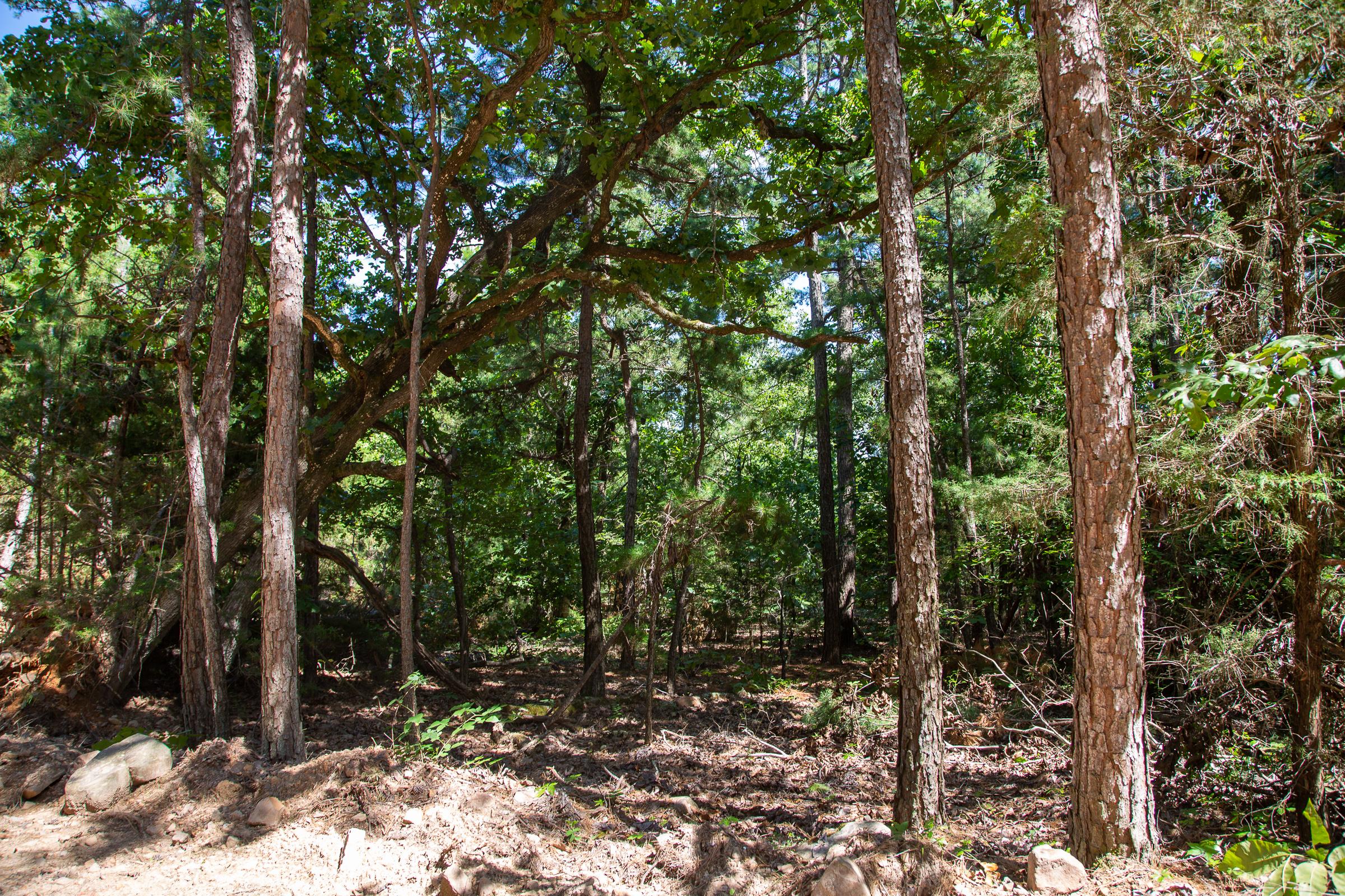 Tract 33 at Tyler Stone Ranch in Leflore County, Oklahoma