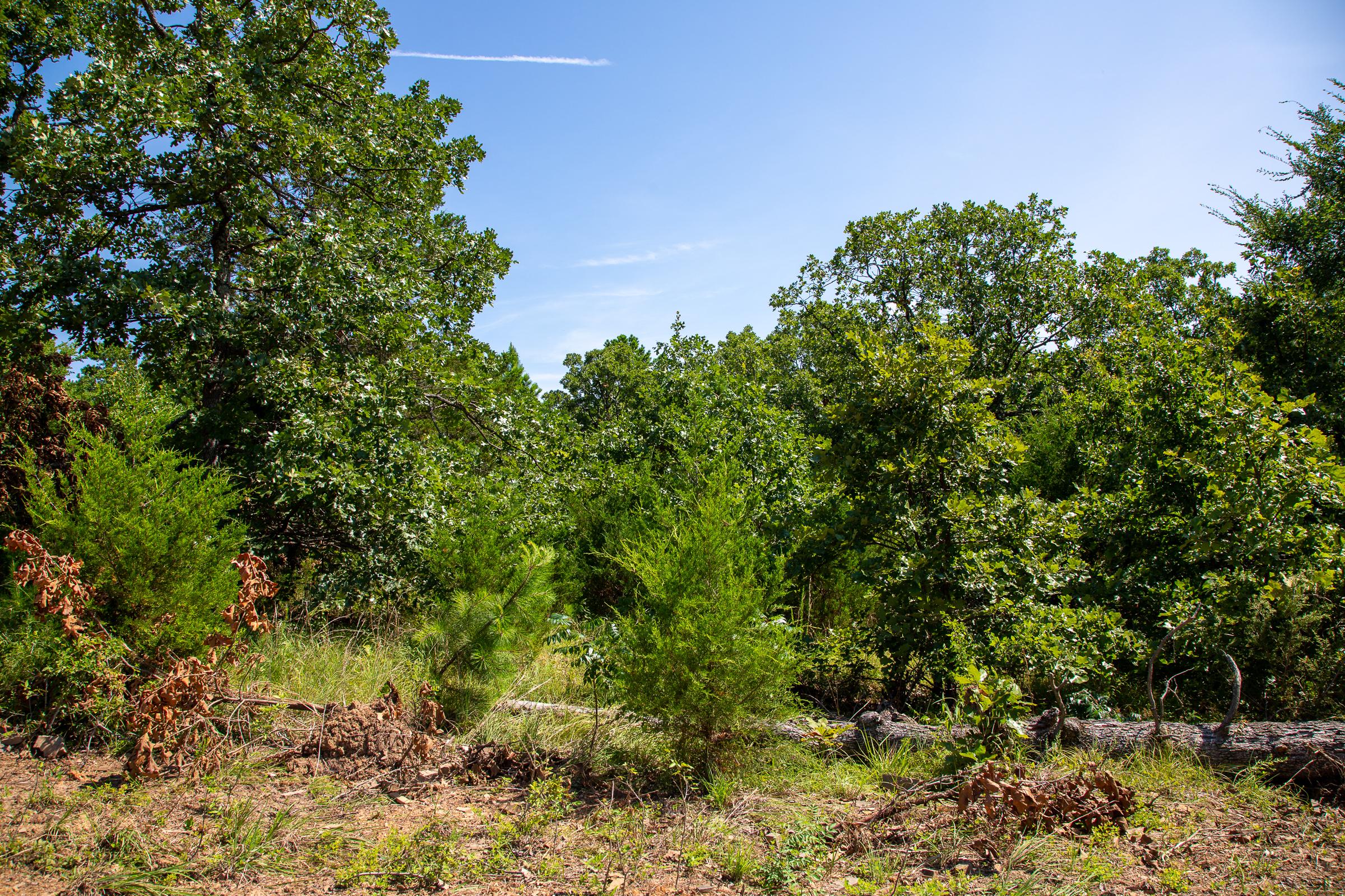 Tract 36 at Tyler Stone Ranch in Leflore County, Oklahoma