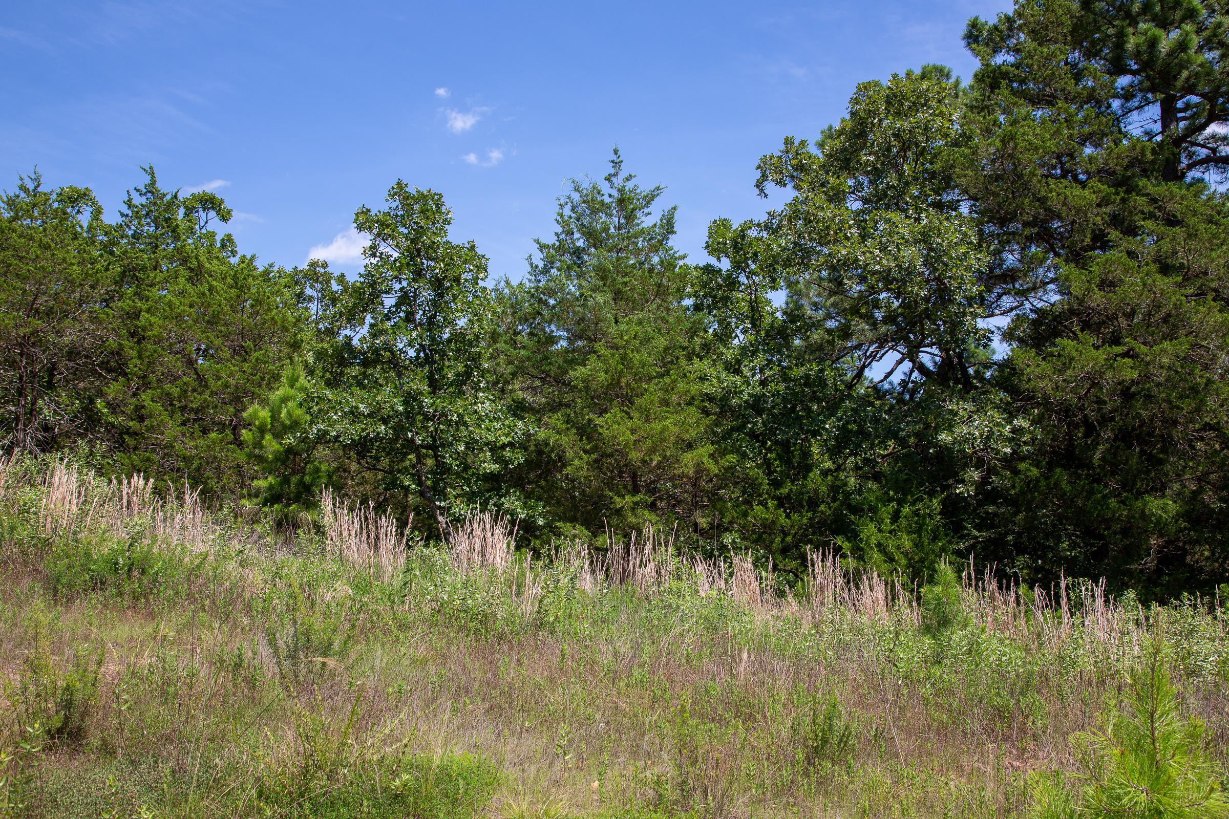 Tract 39 at Tyler Stone Ranch in Leflore County, Oklahoma