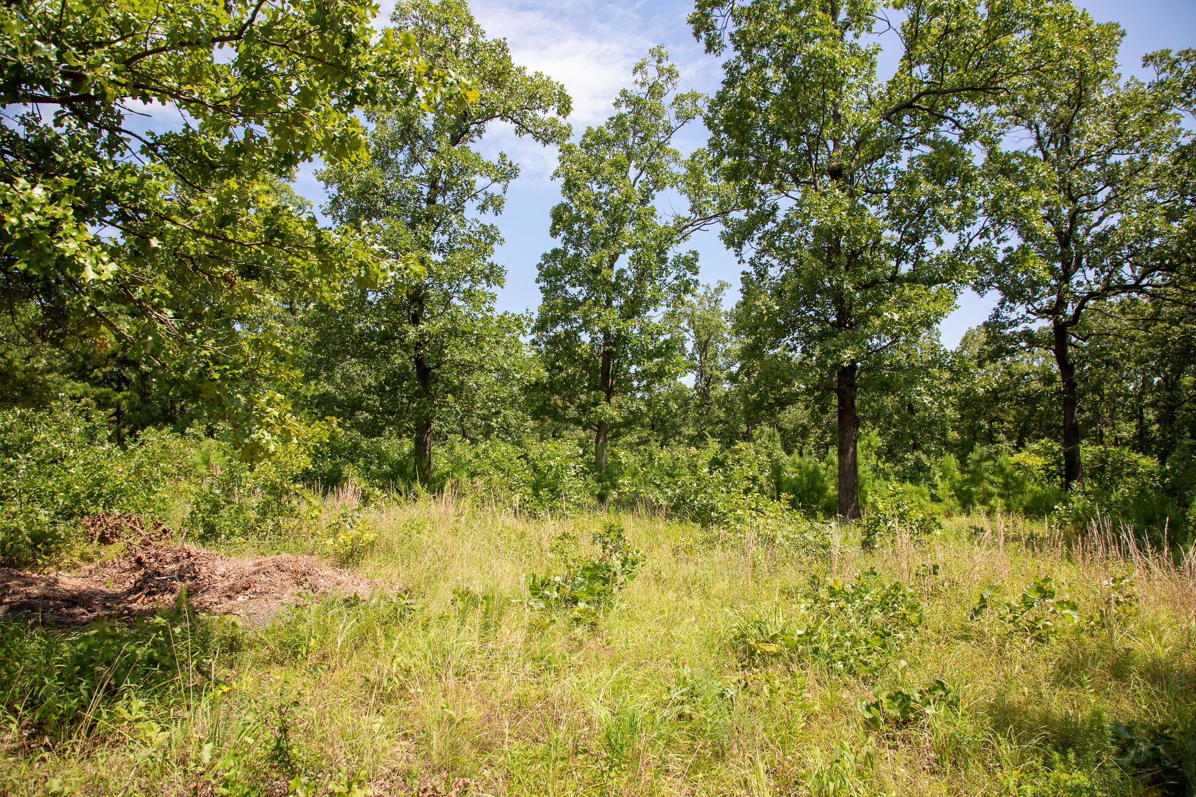 Tract 41 at Tyler Stone Ranch in Leflore County, Oklahoma