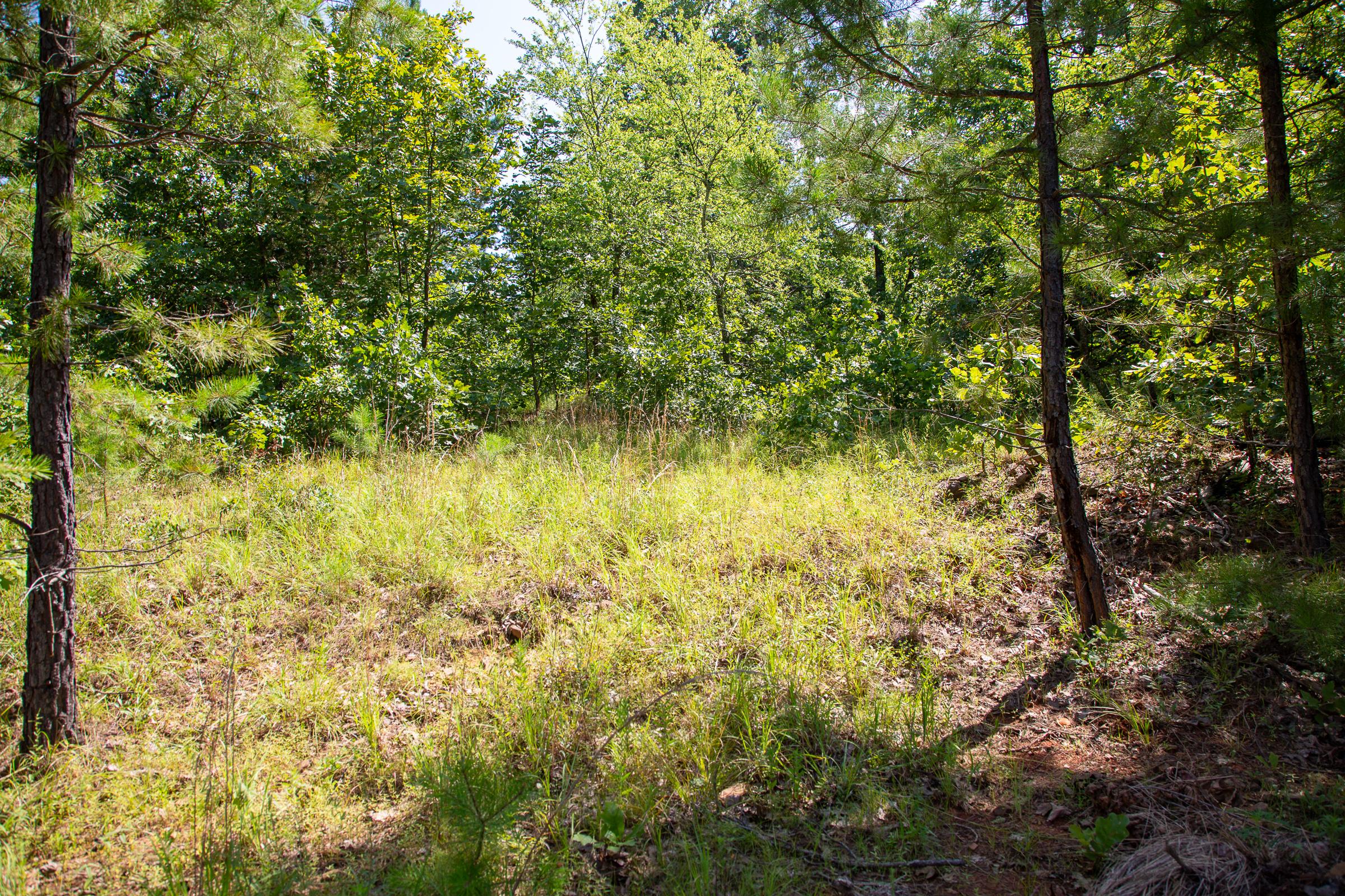 Tract 43 at Tyler Stone Ranch in Leflore County, Oklahoma