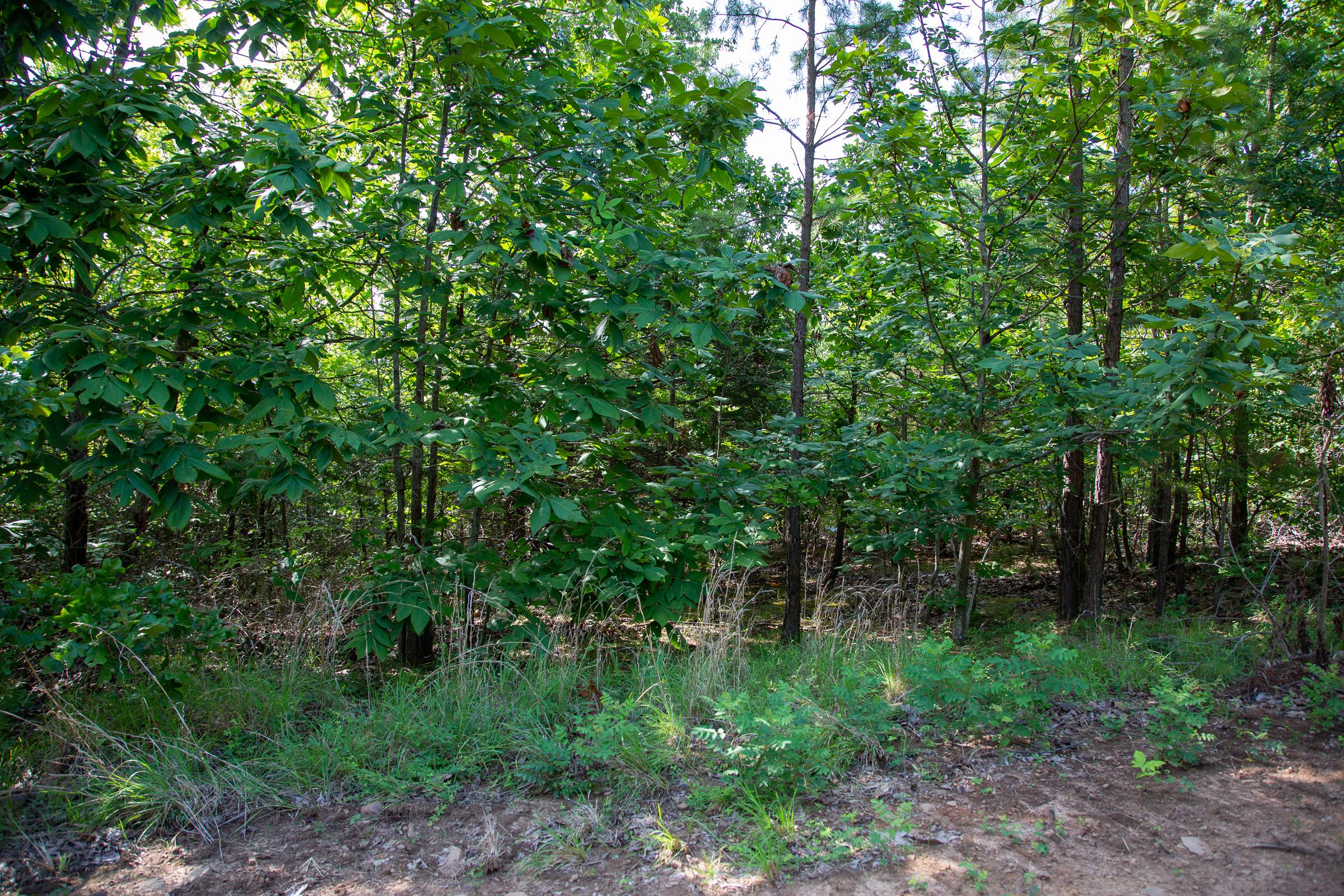Tract 46 at Tyler Stone Ranch in Leflore County, Oklahoma