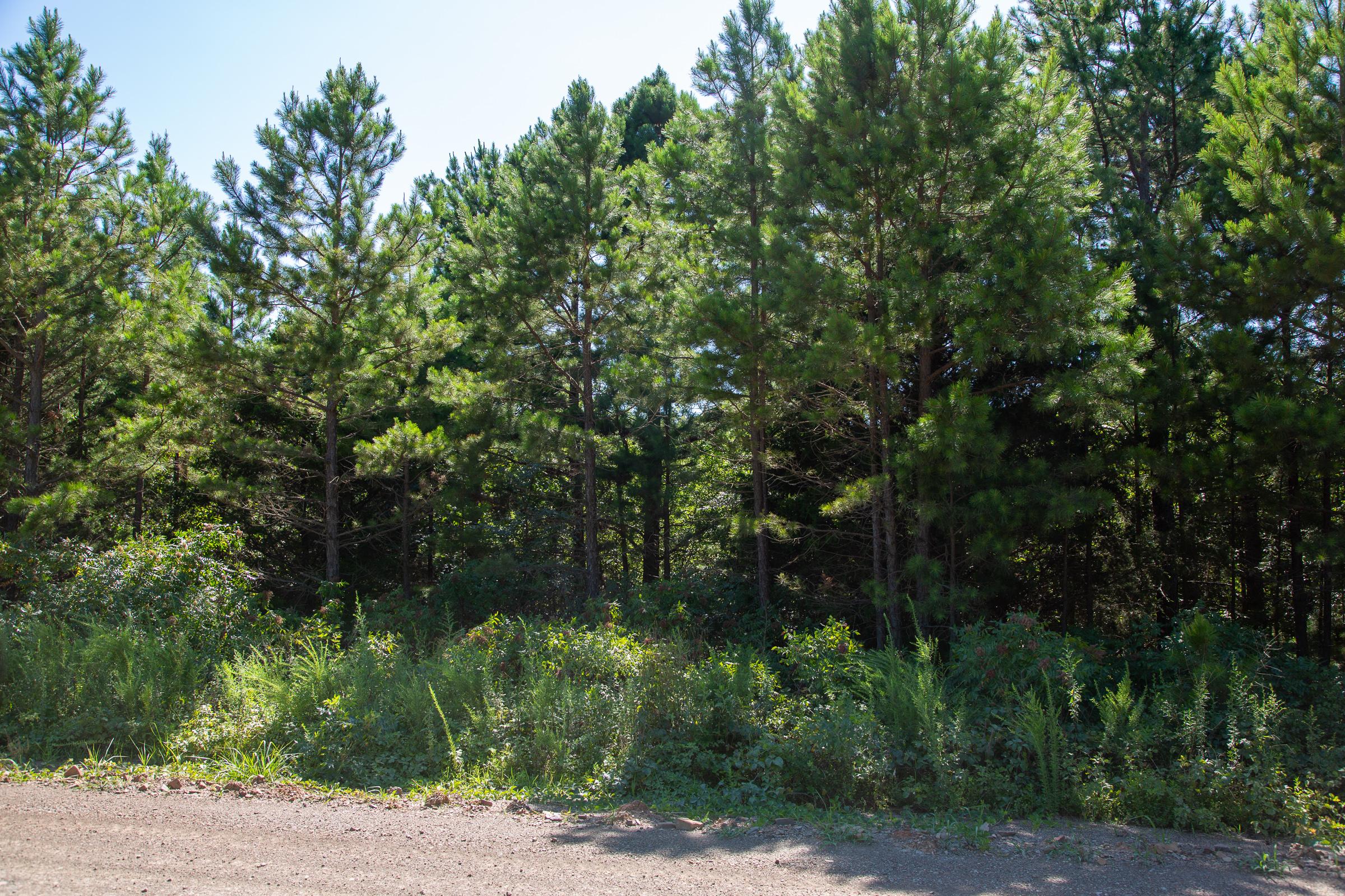 Tract 5 at Tyler Stone Ranch in Leflore County, Oklahoma