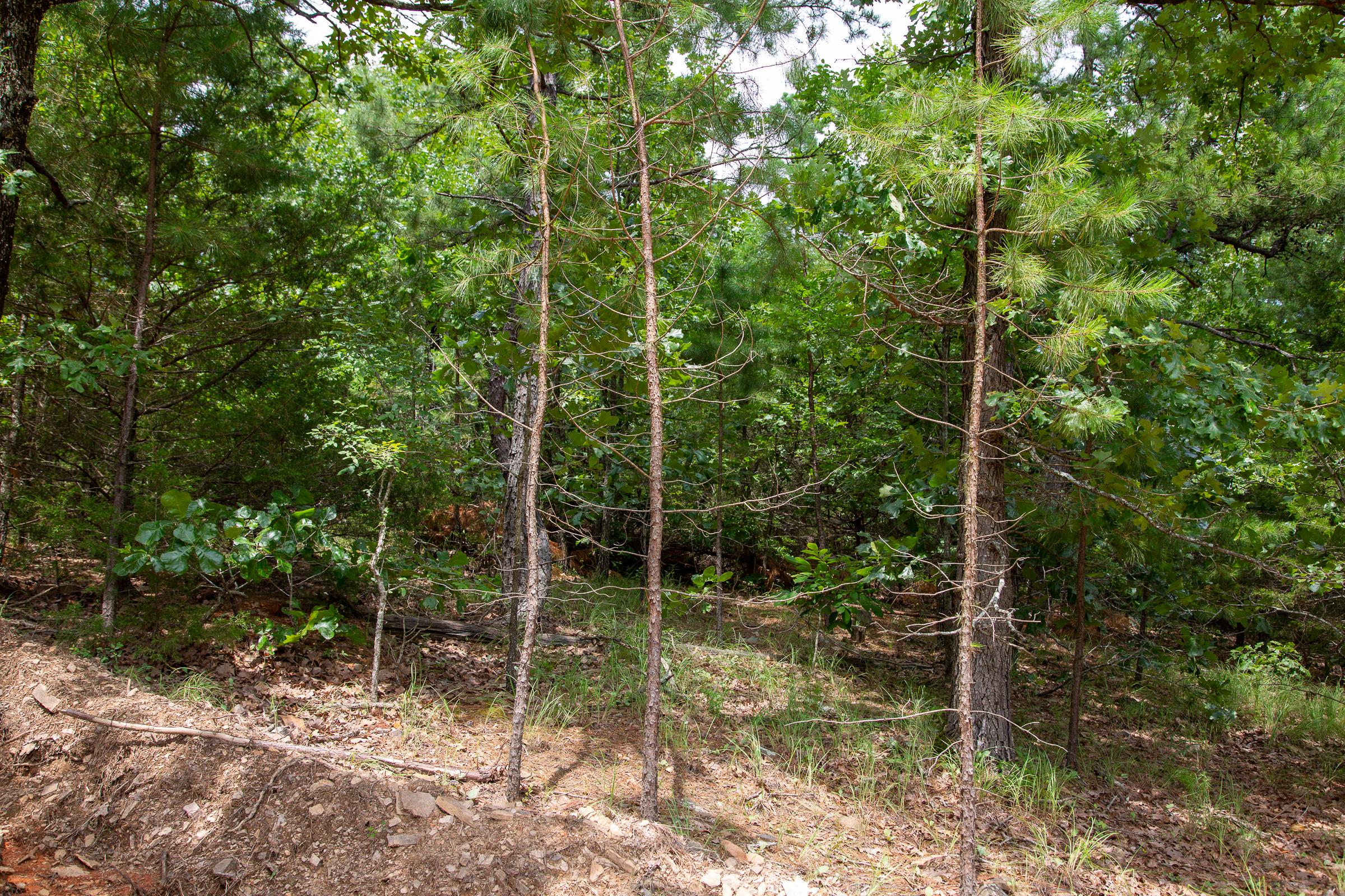Tract 50 at Tyler Stone Ranch in Leflore County, Oklahoma