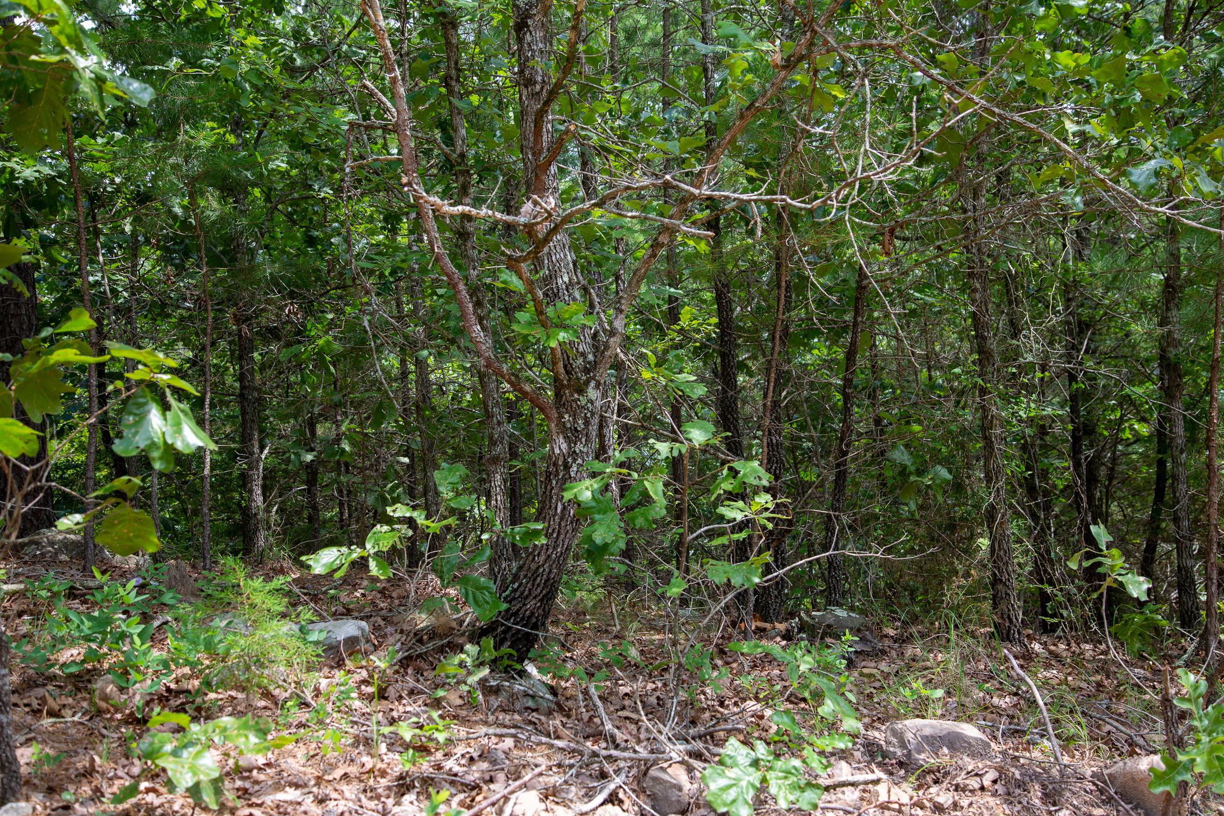 Tract 52 at Tyler Stone Ranch in Leflore County, Oklahoma