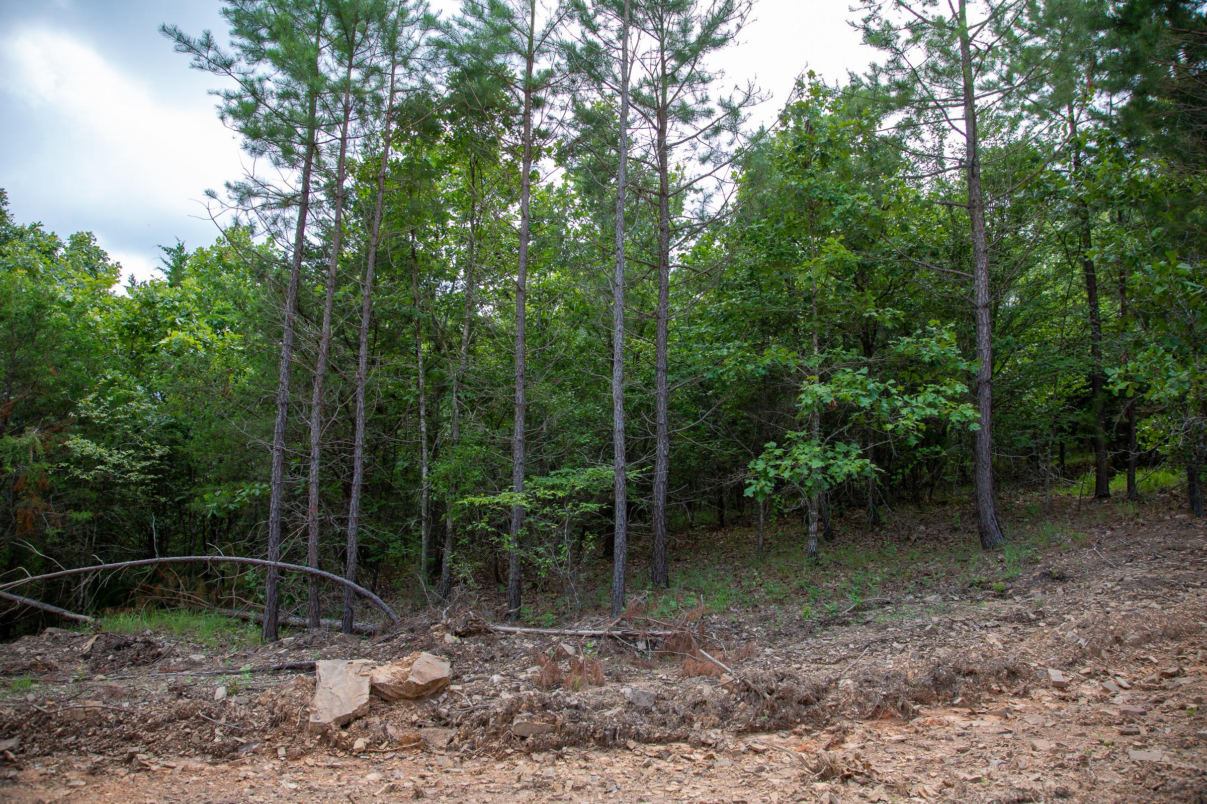 Tract 53 at Tyler Stone Ranch in Leflore County, Oklahoma