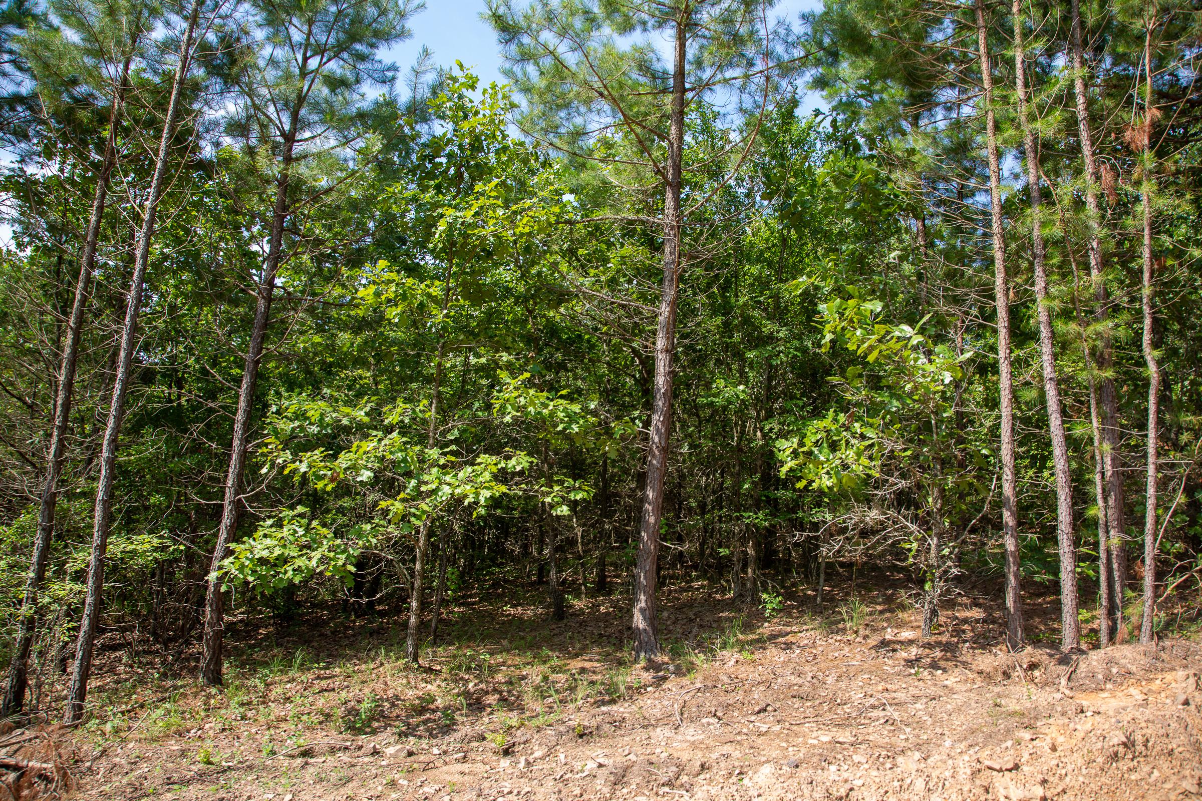 Tract 54 at Tyler Stone Ranch in Leflore County, Oklahoma