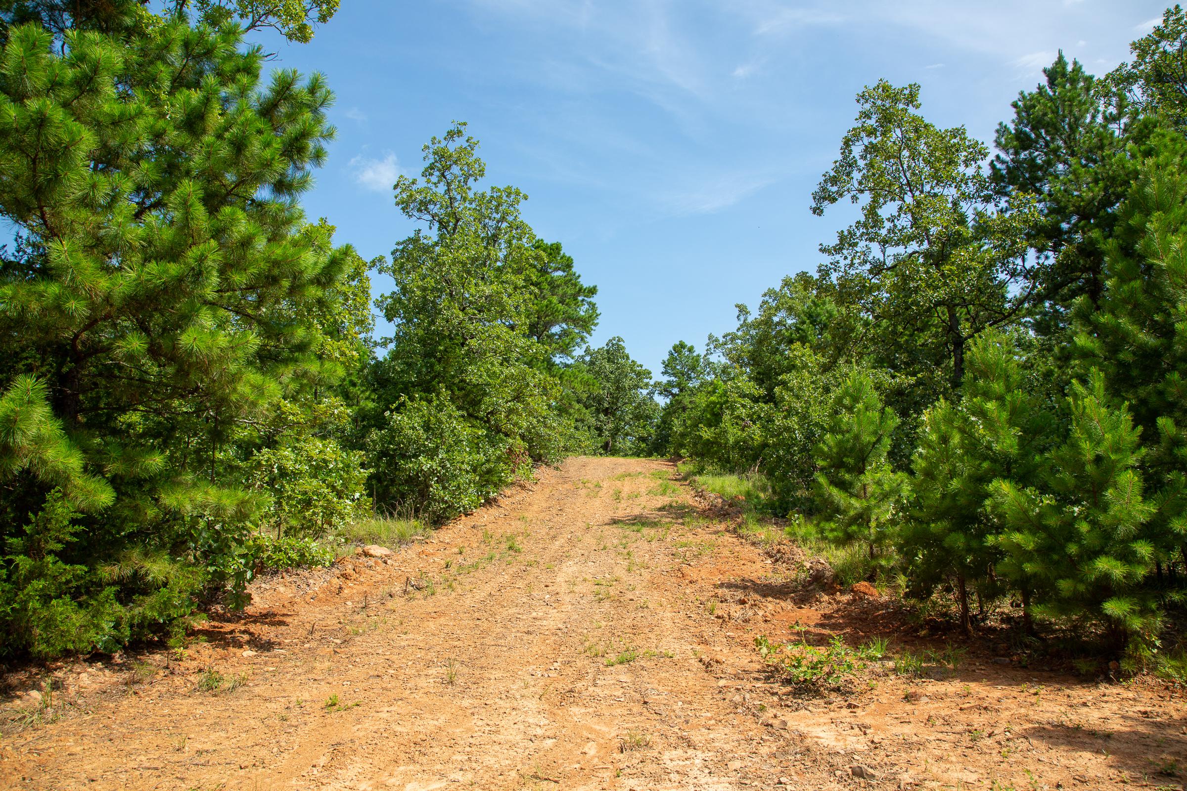Tract 55 at Tyler Stone Ranch in Leflore County, Oklahoma