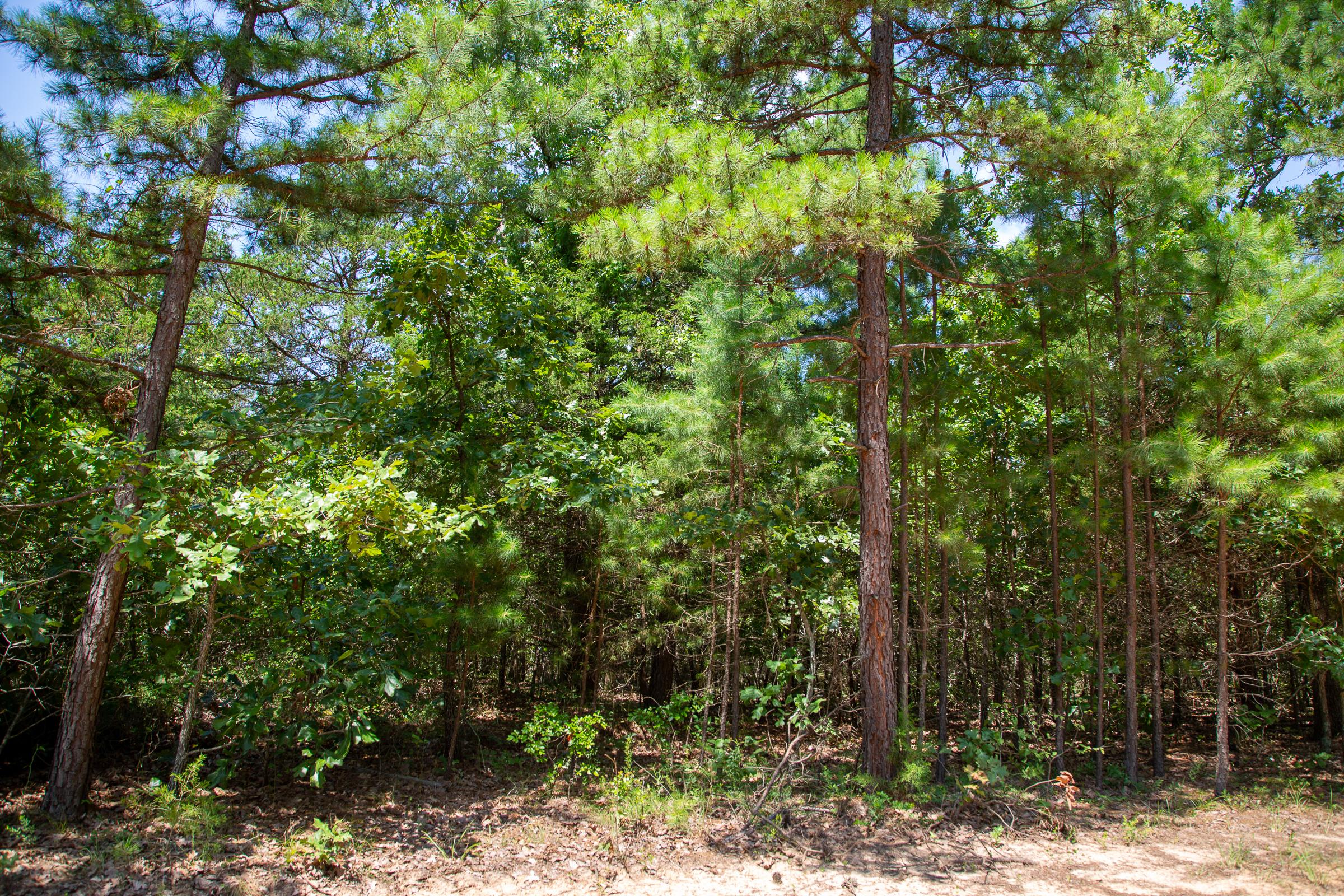 Tract 57 at Tyler Stone Ranch in Leflore County, Oklahoma