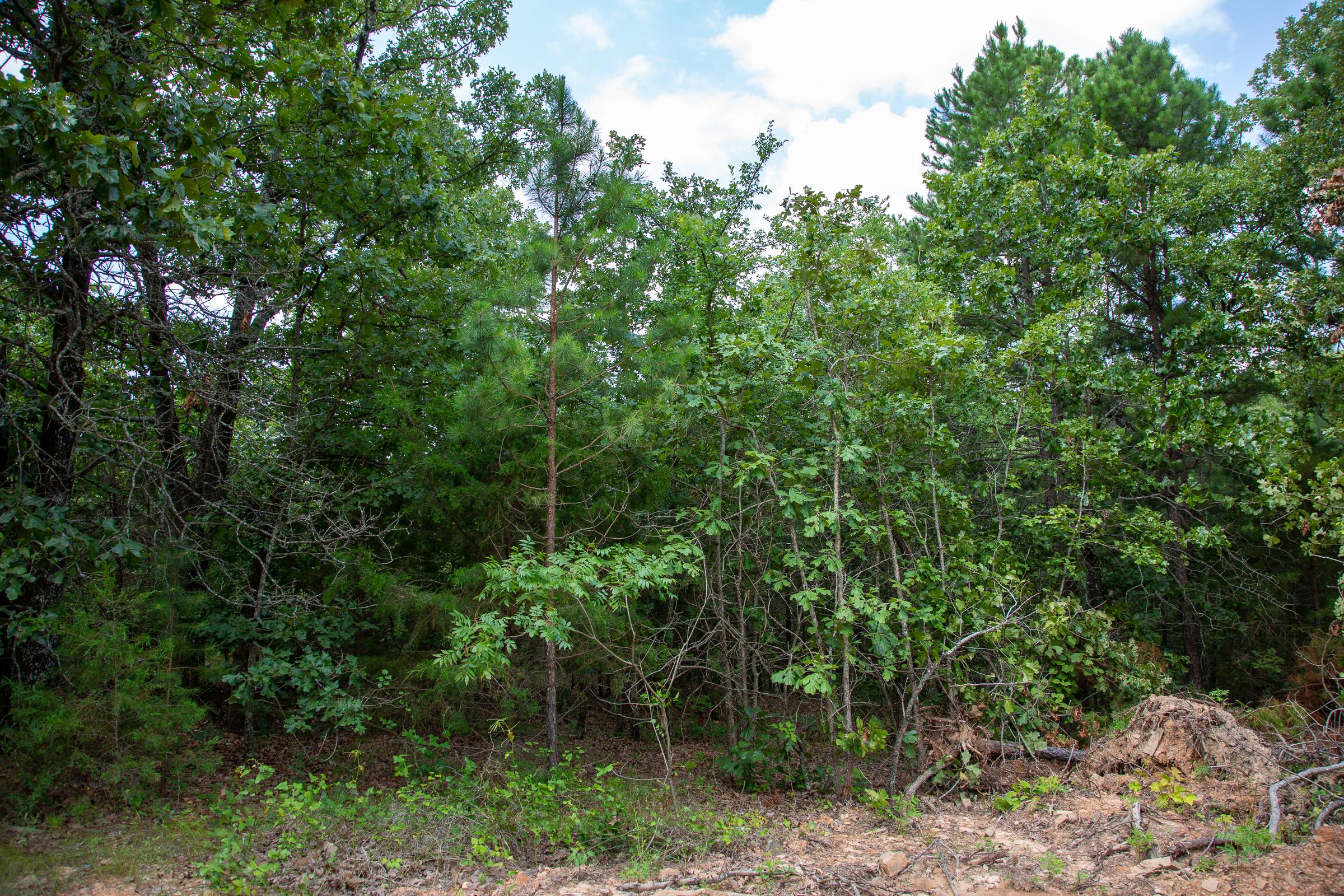 Tract 59 at Tyler Stone Ranch in Leflore County, Oklahoma