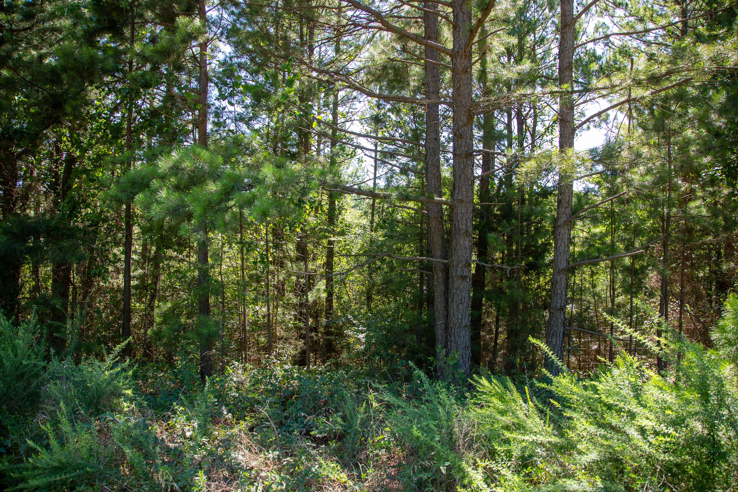Tract 6 at Tyler Stone Ranch in Leflore County, Oklahoma