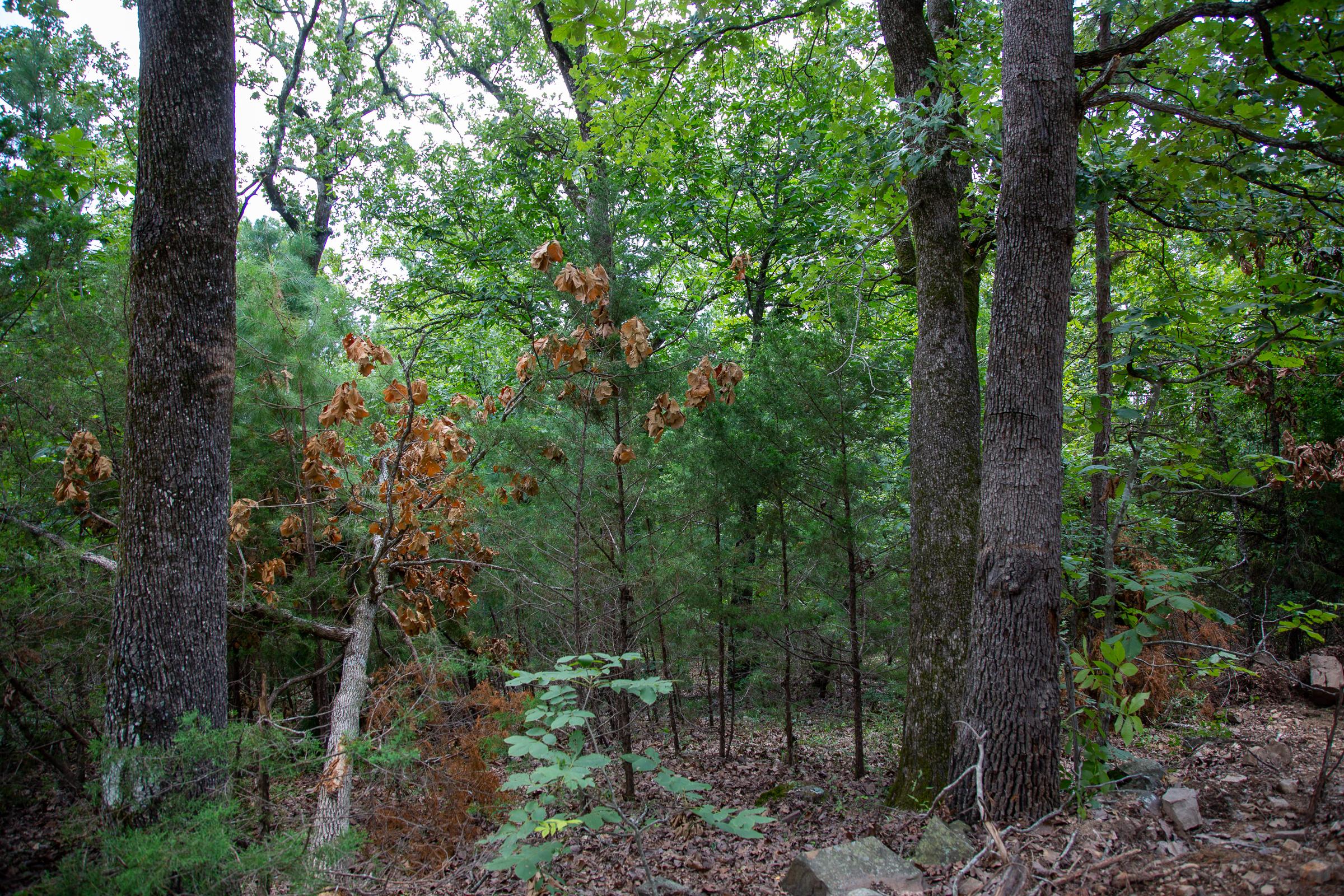 Tract 61 at Tyler Stone Ranch in Leflore County, Oklahoma