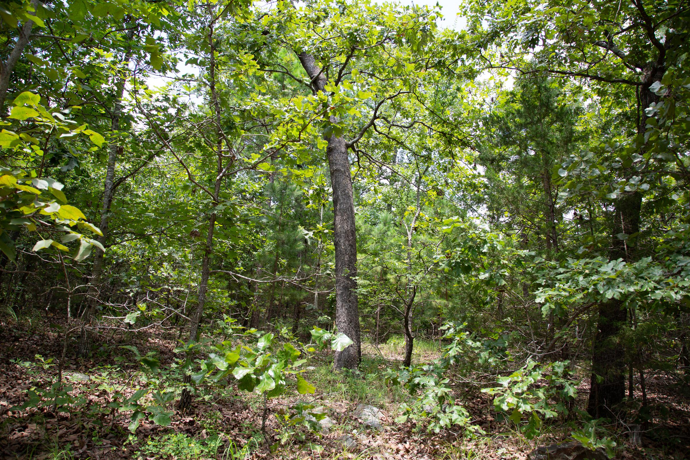 Tract 62 at Tyler Stone Ranch in Leflore County, Oklahoma