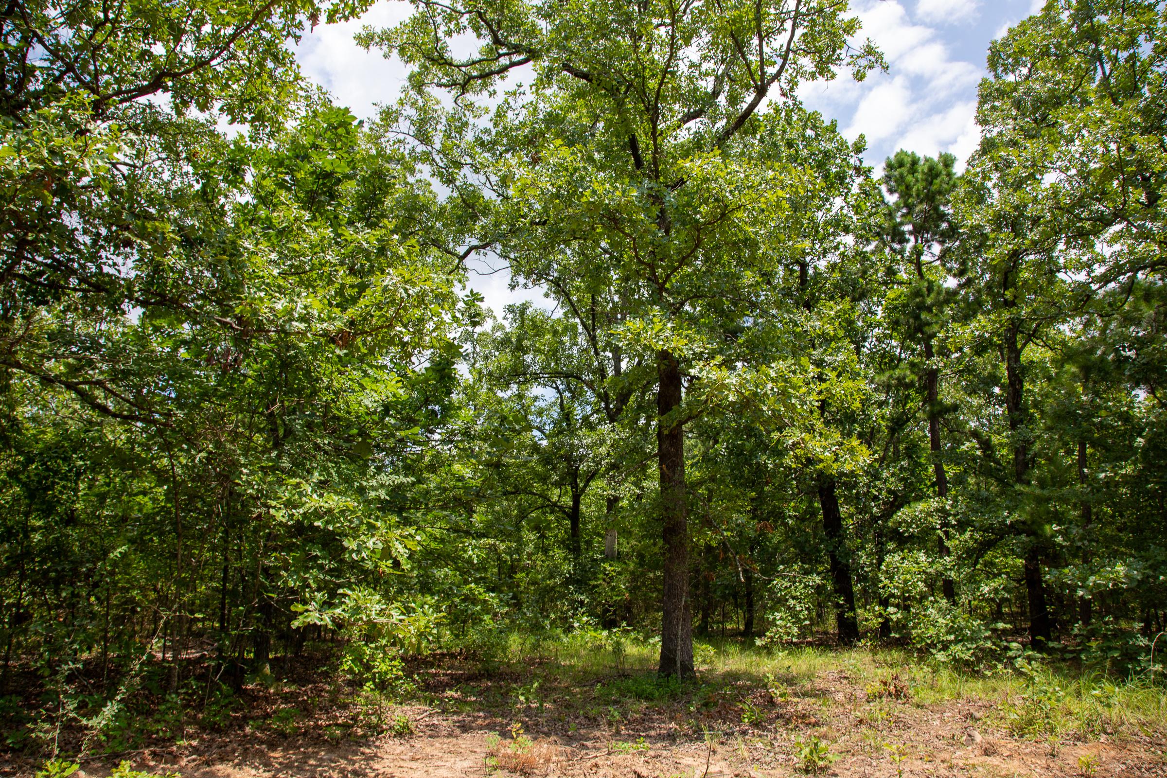 Tract 64 at Tyler Stone Ranch in Leflore County, Oklahoma