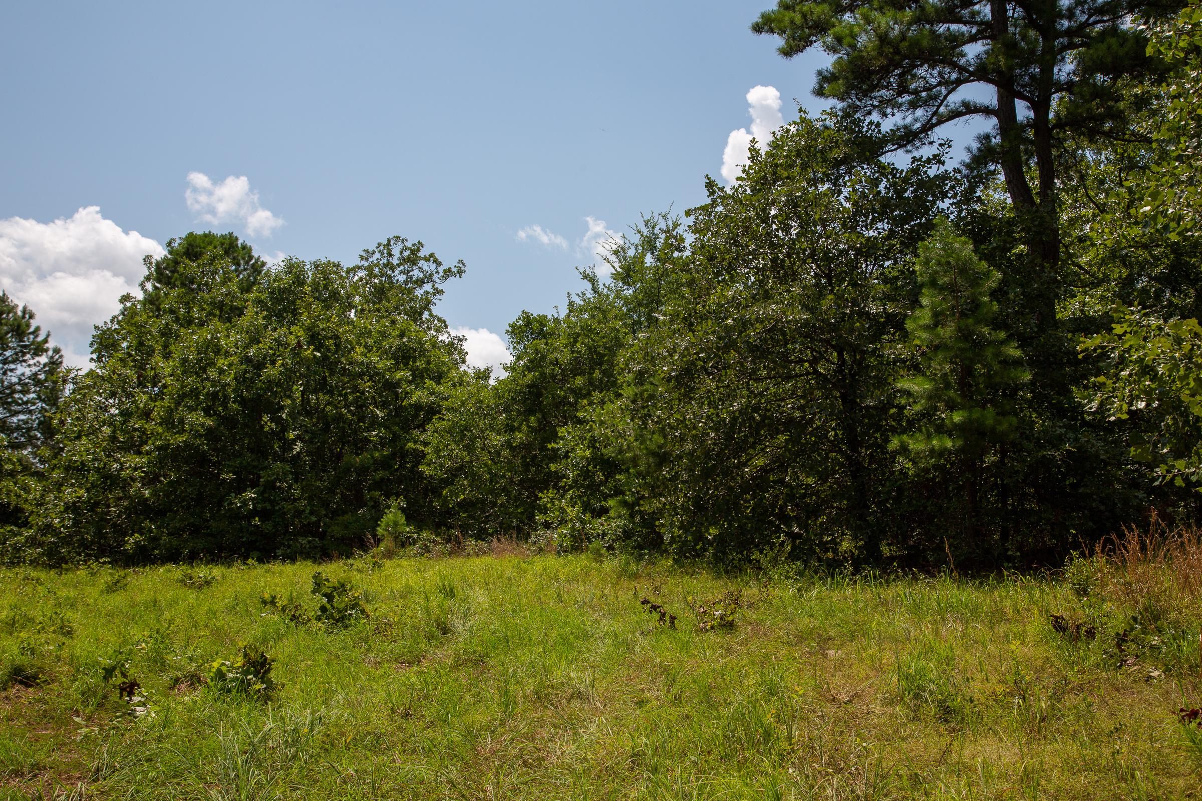 Tract 65 at Tyler Stone Ranch in Leflore County, Oklahoma
