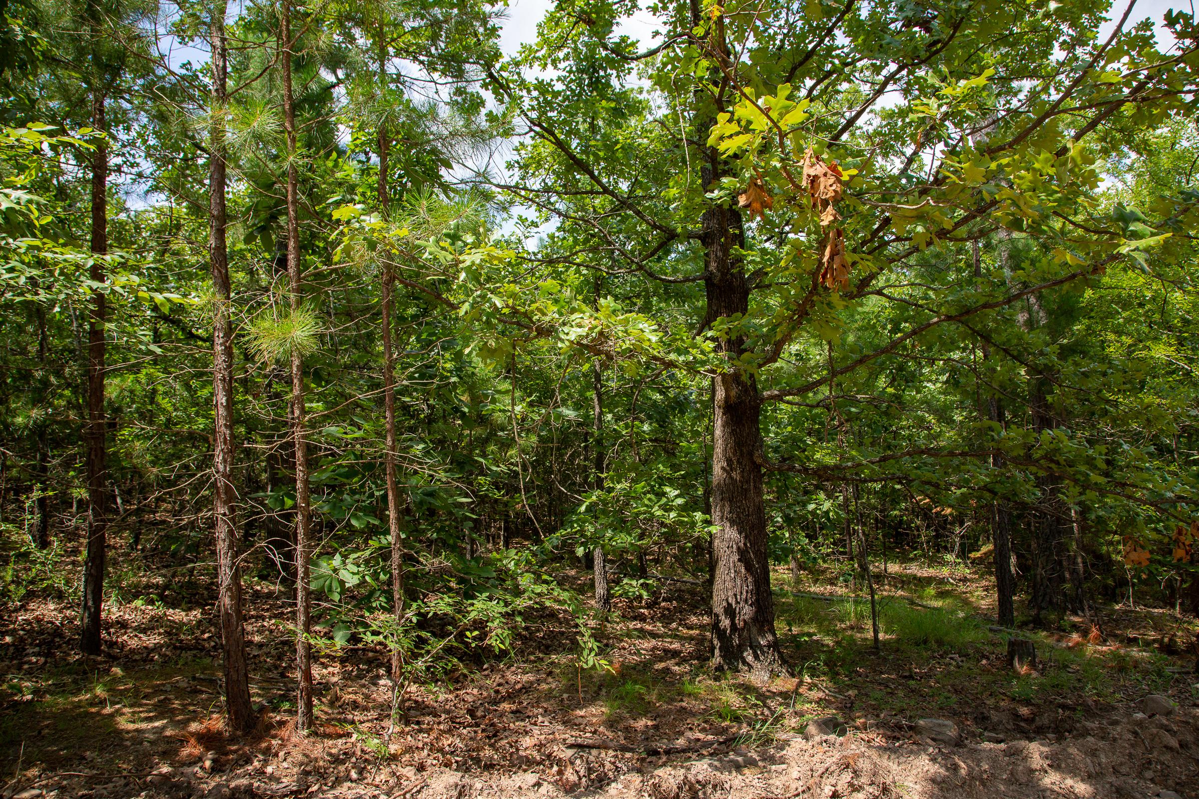 Tract 67 at Tyler Stone Ranch in Leflore County, Oklahoma