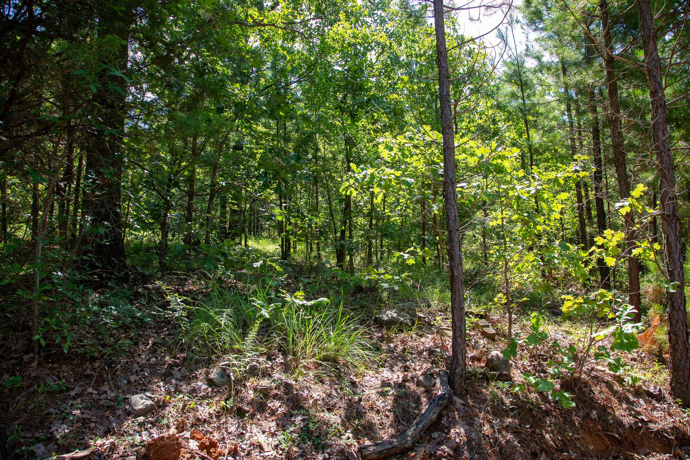 Tract 69 at Tyler Stone Ranch in Leflore County, Oklahoma