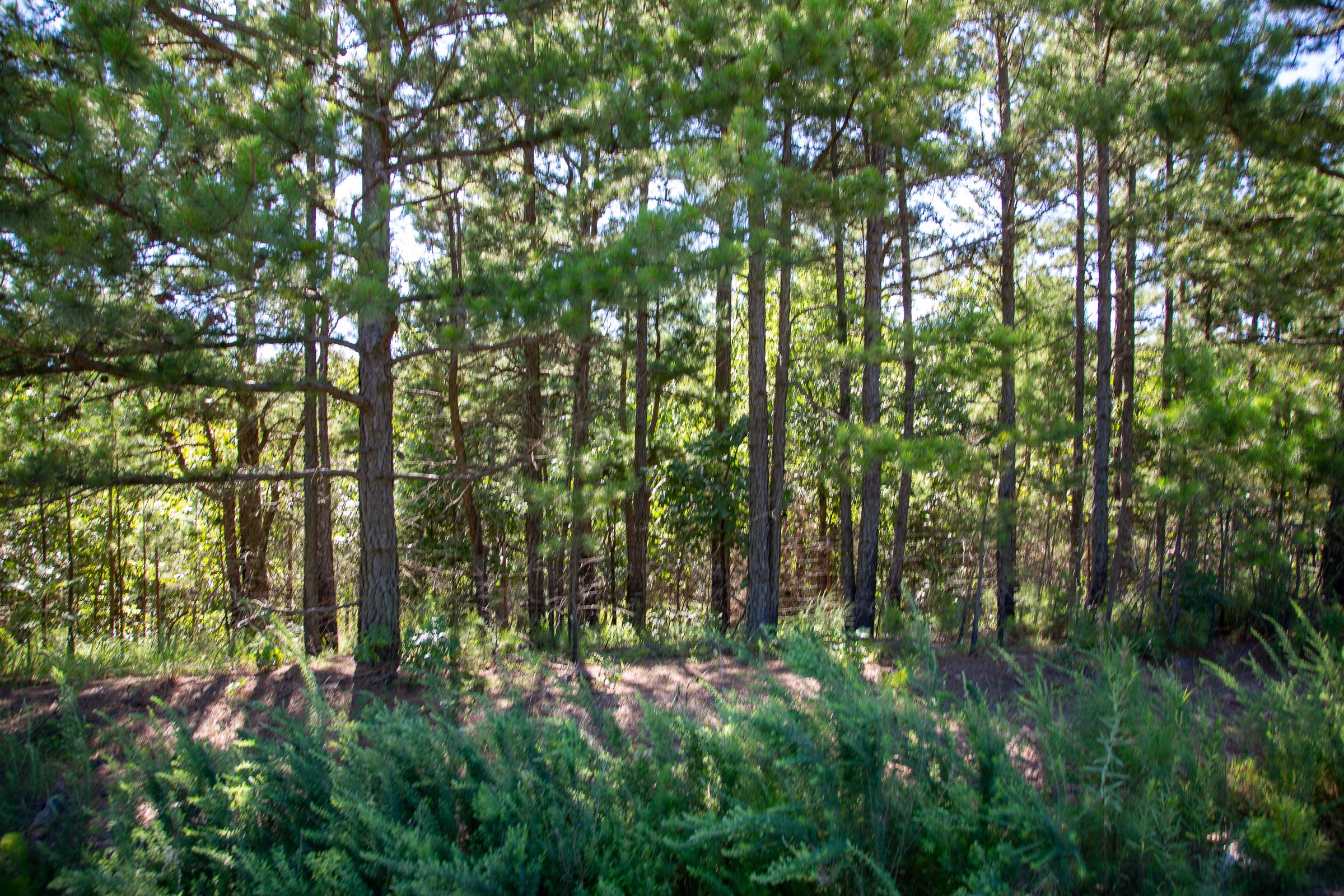 Tract 7 at Tyler Stone Ranch in Leflore County, Oklahoma