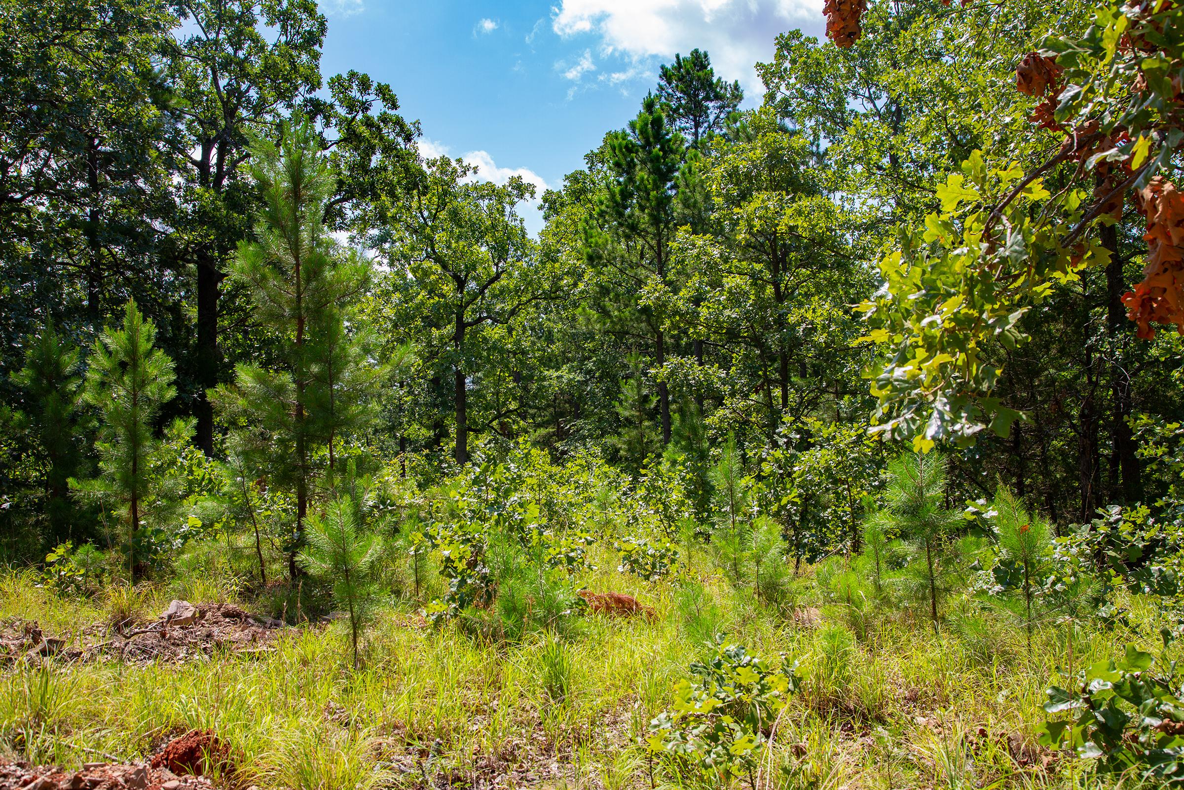 Tract 74 at Tyler Stone Ranch in Leflore County, Oklahoma