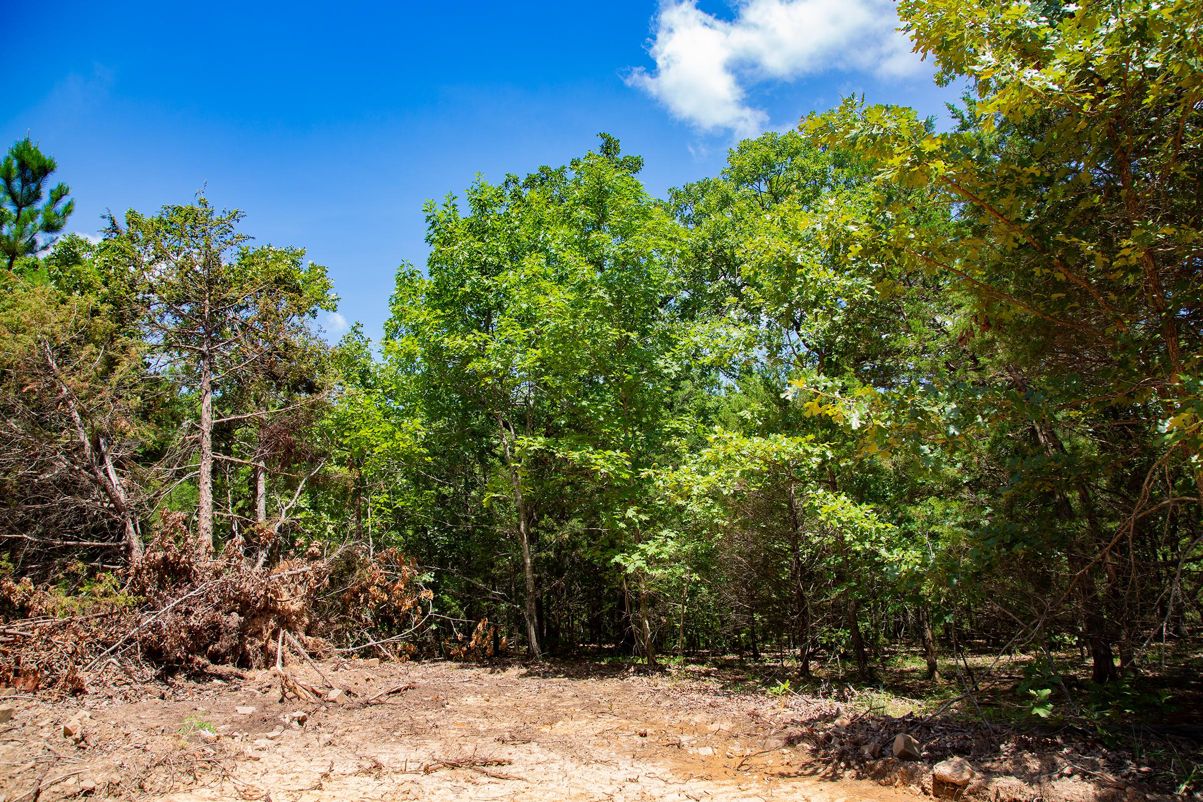 Tract 77 at Tyler Stone Ranch in Leflore County, Oklahoma