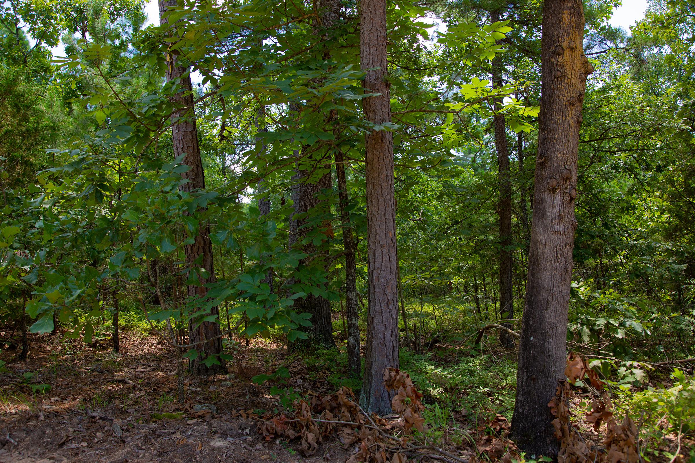 Tract 78 at Tyler Stone Ranch in Leflore County, Oklahoma