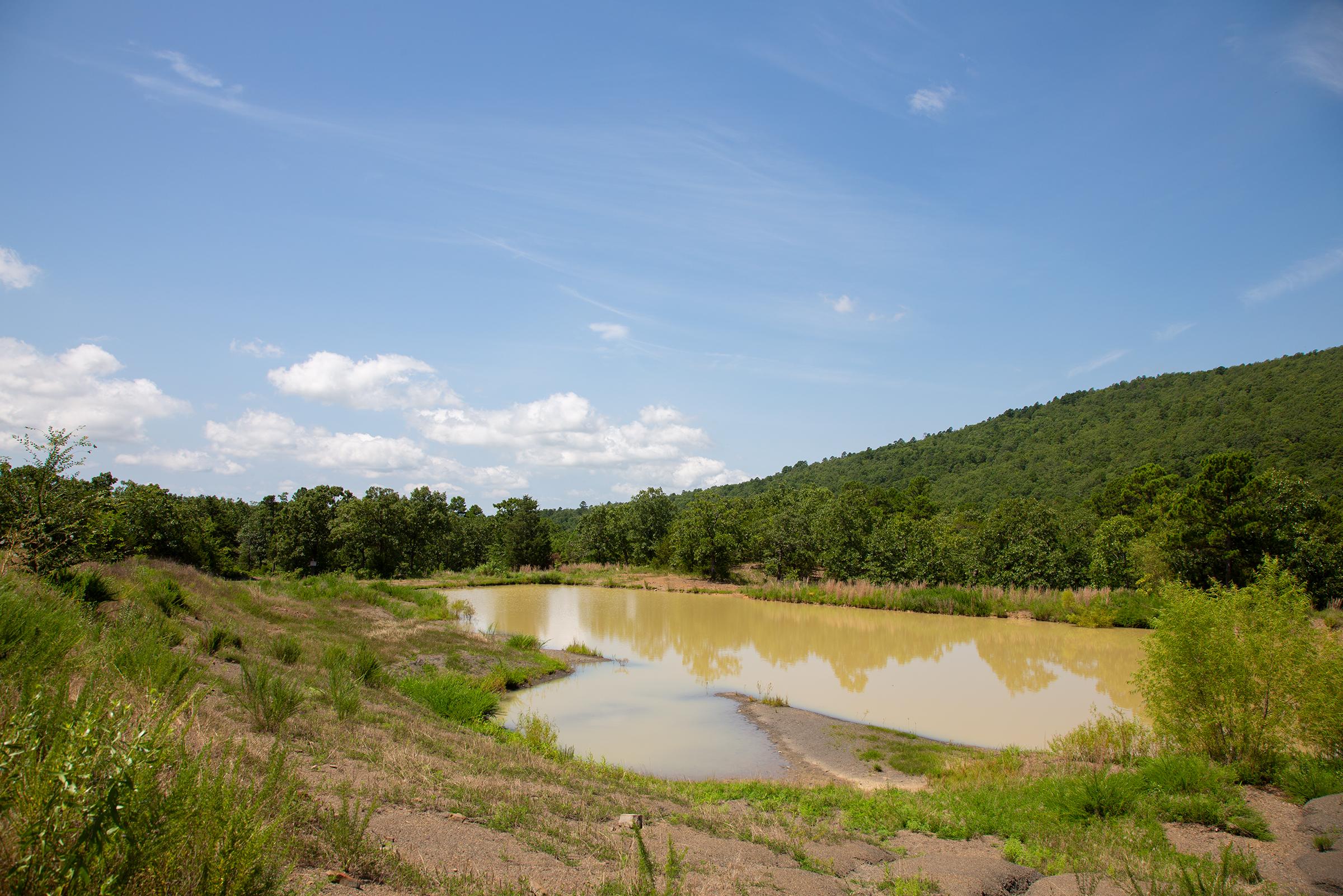 Tract 79 at Tyler Stone Ranch in Leflore County, Oklahoma