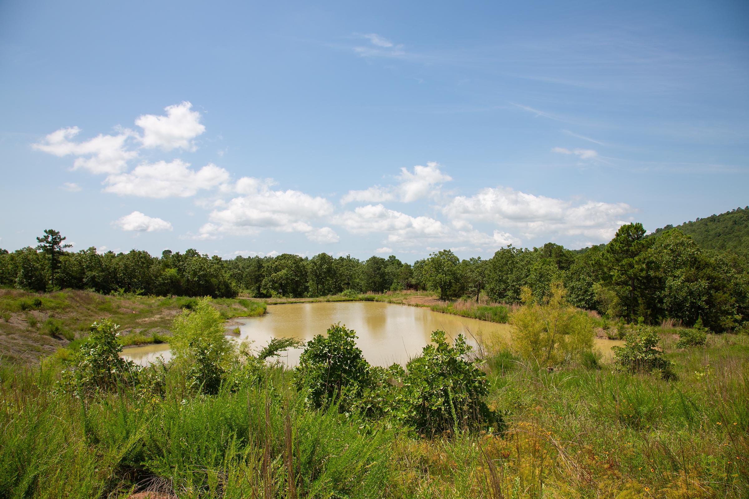 Tract 80 at Tyler Stone Ranch in Leflore County, Oklahoma
