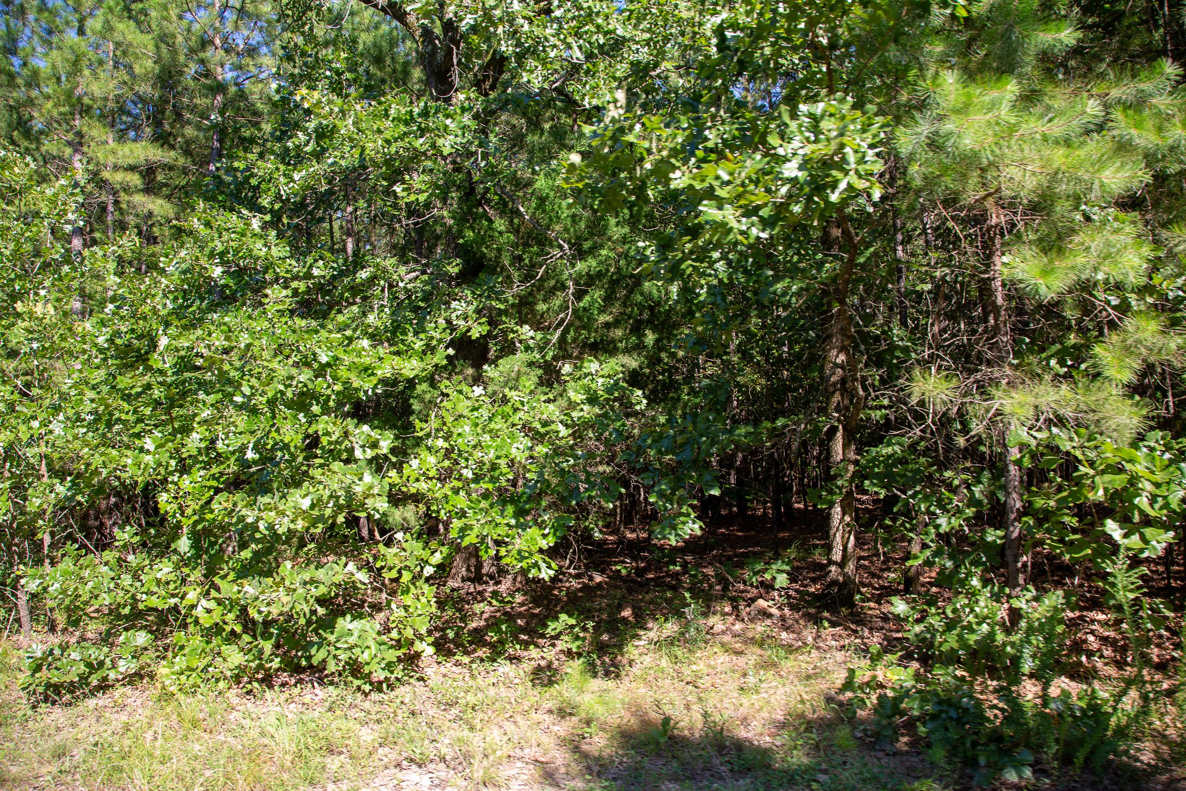 Tract 9 at Tyler Stone Ranch in Leflore County, Oklahoma